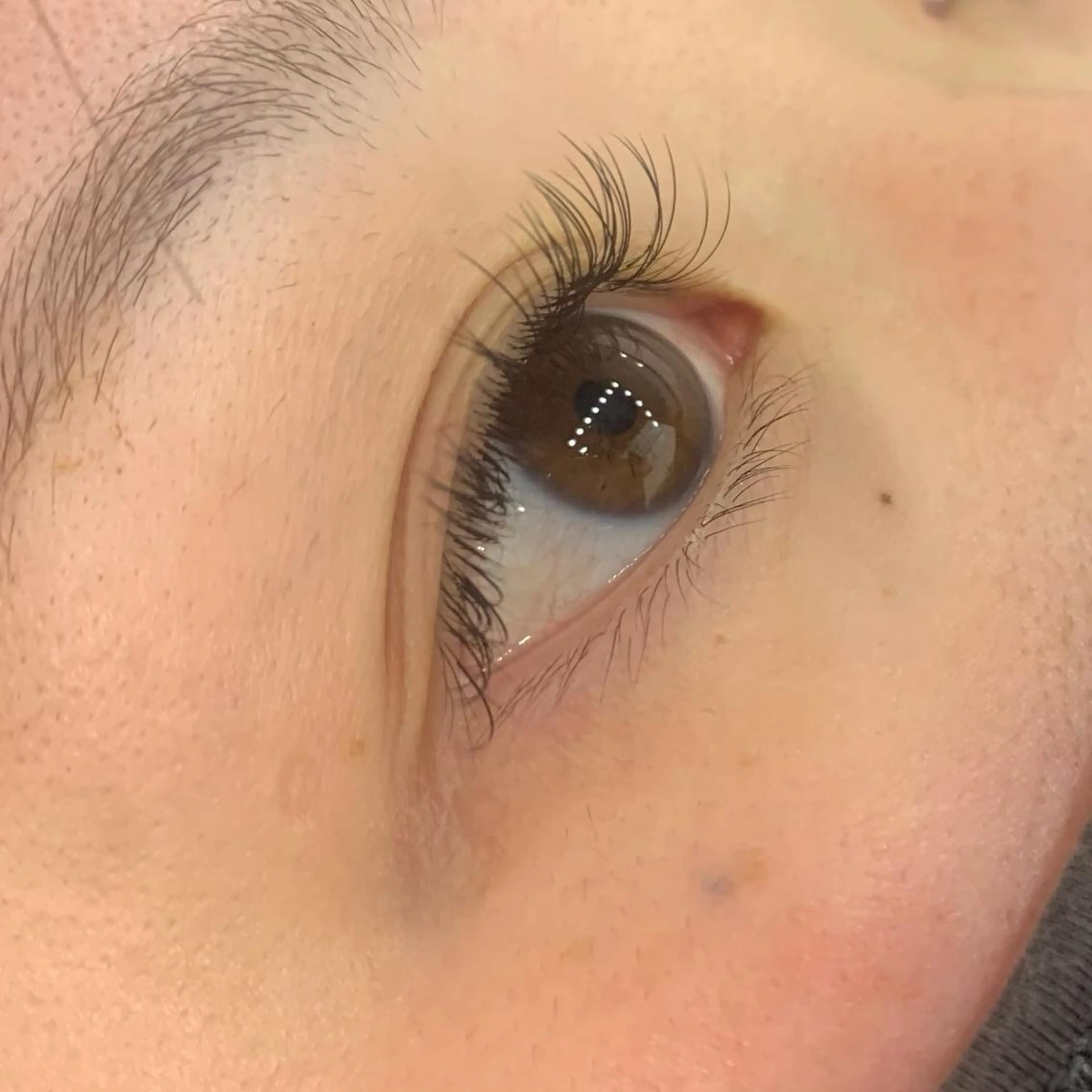 マツエク・マツパ 韓国風マツエク マツエク Celeste Venus所属・🧸Celeste Venusのマツエク・マツパデザイン