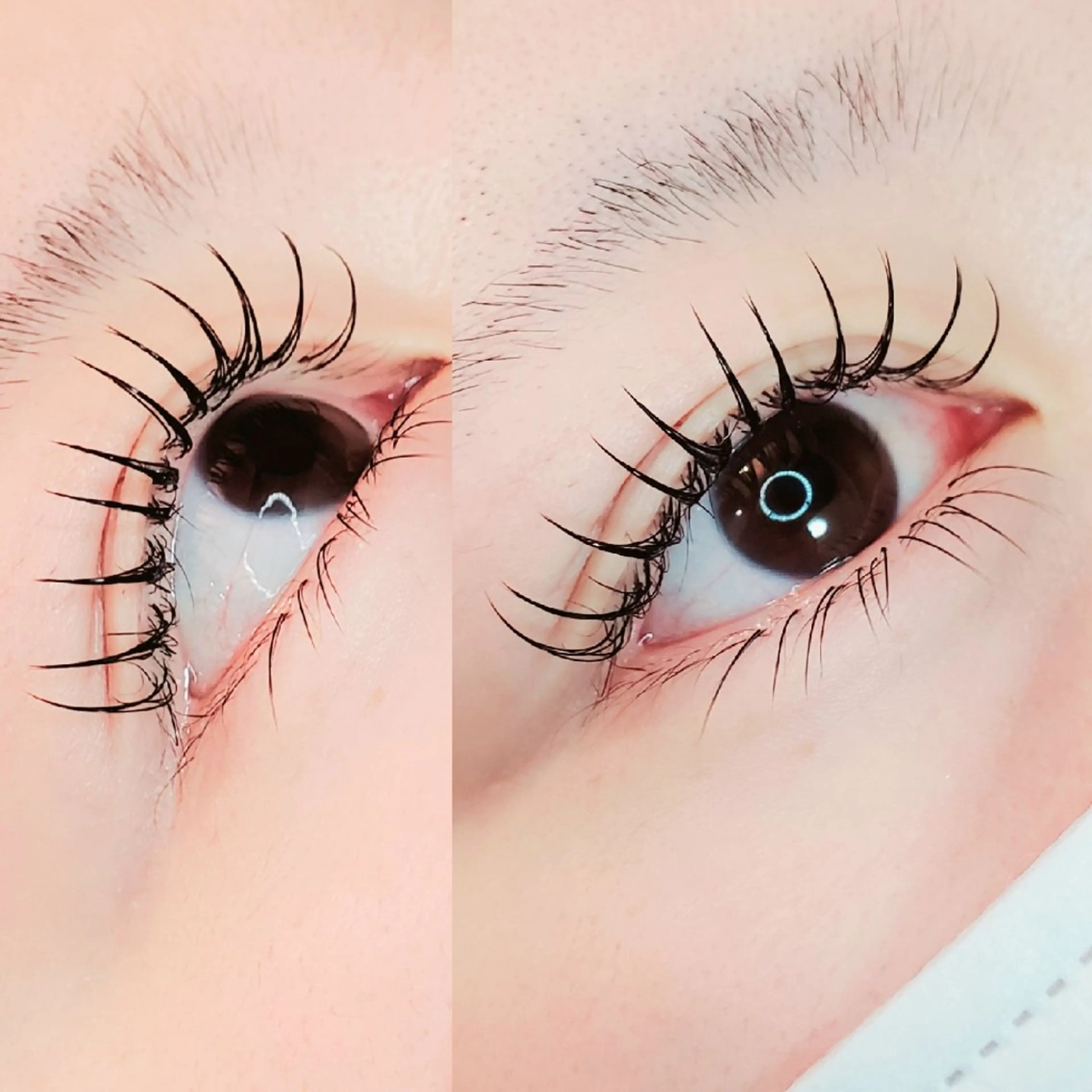 ≪新規≫ 新登場☆●フラットエクステ● 上下120本の写真