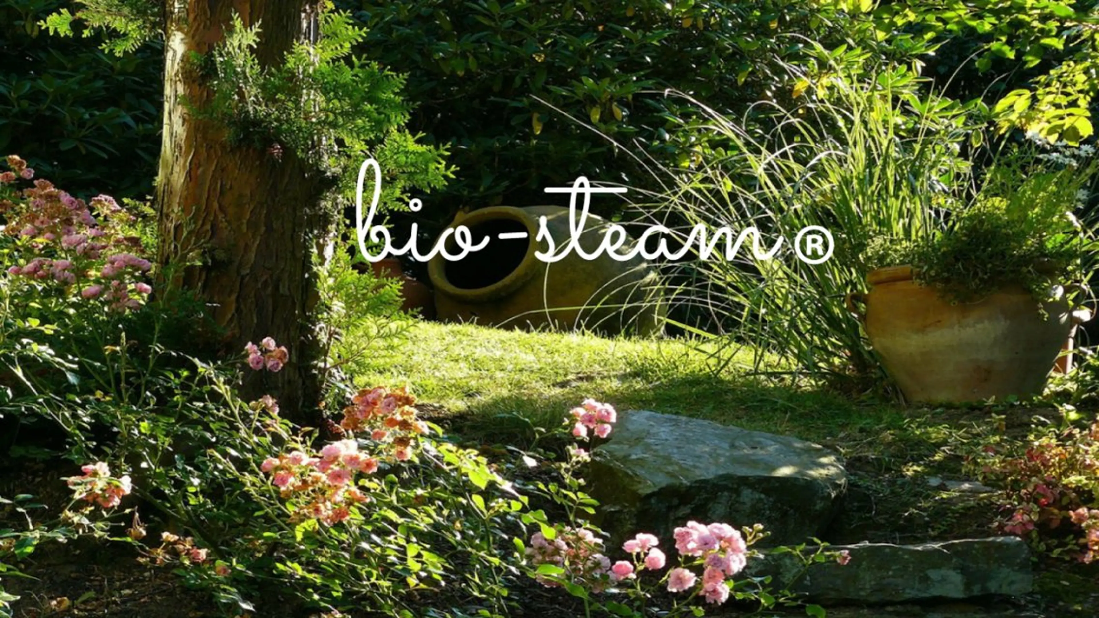 Sakurai Rieのエステ・リラクイメージ