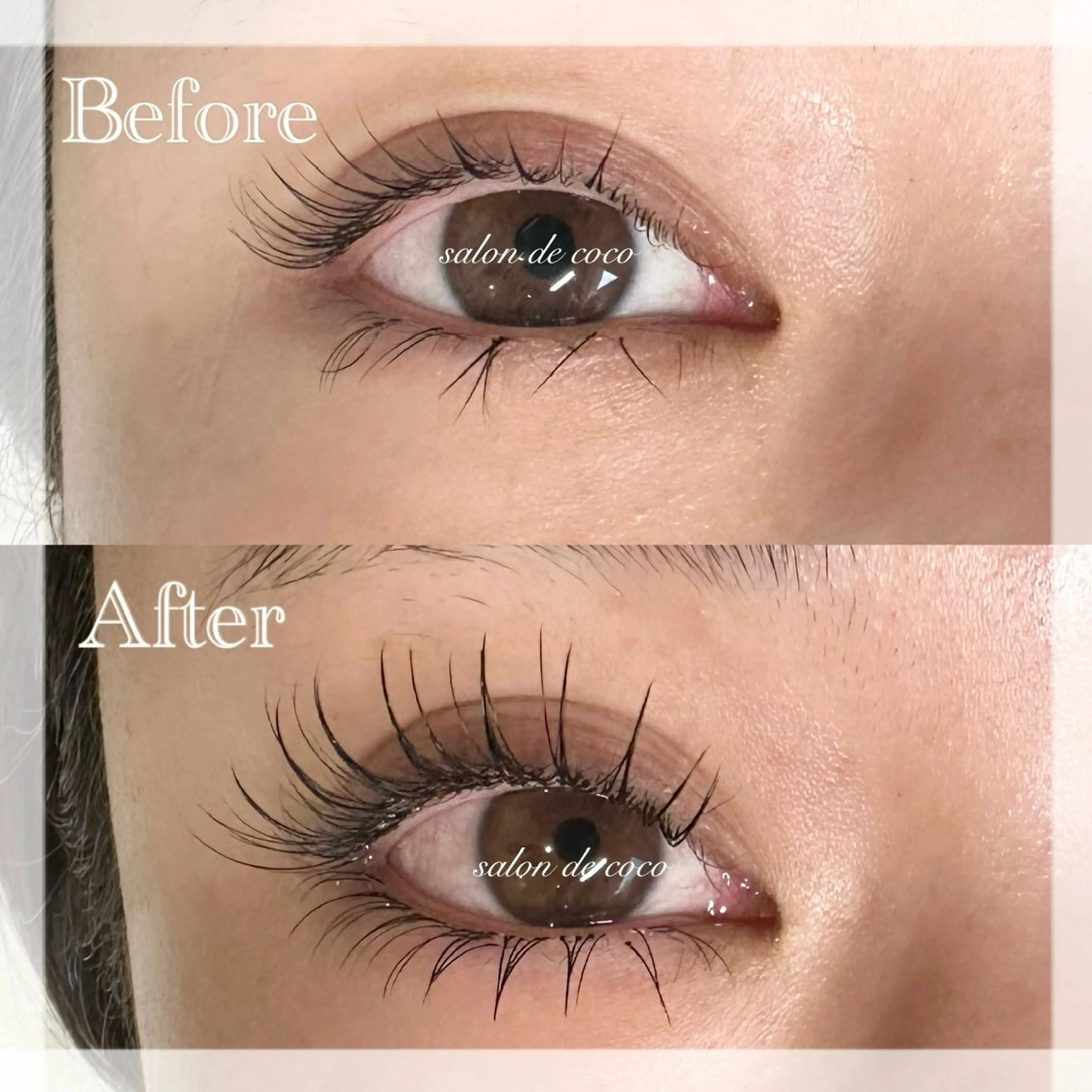 マツエク・マツパ マツエク 岡本 知紗の眉毛・アイブロウイメージ