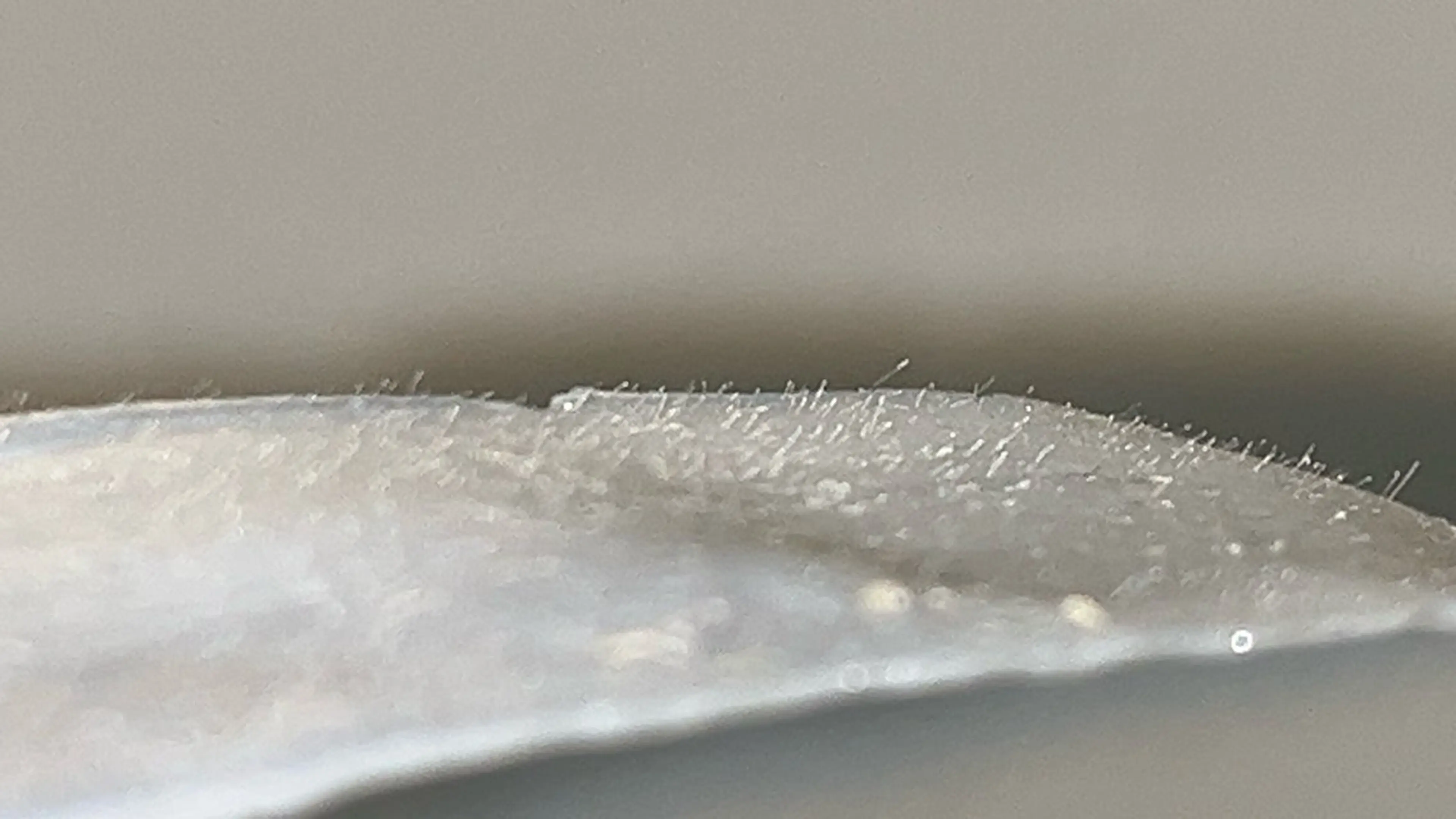 ワックス脱毛 眉カット その他(アイブロウ) iti 眉毛とワックス脱毛の眉毛・アイブロウイメージ