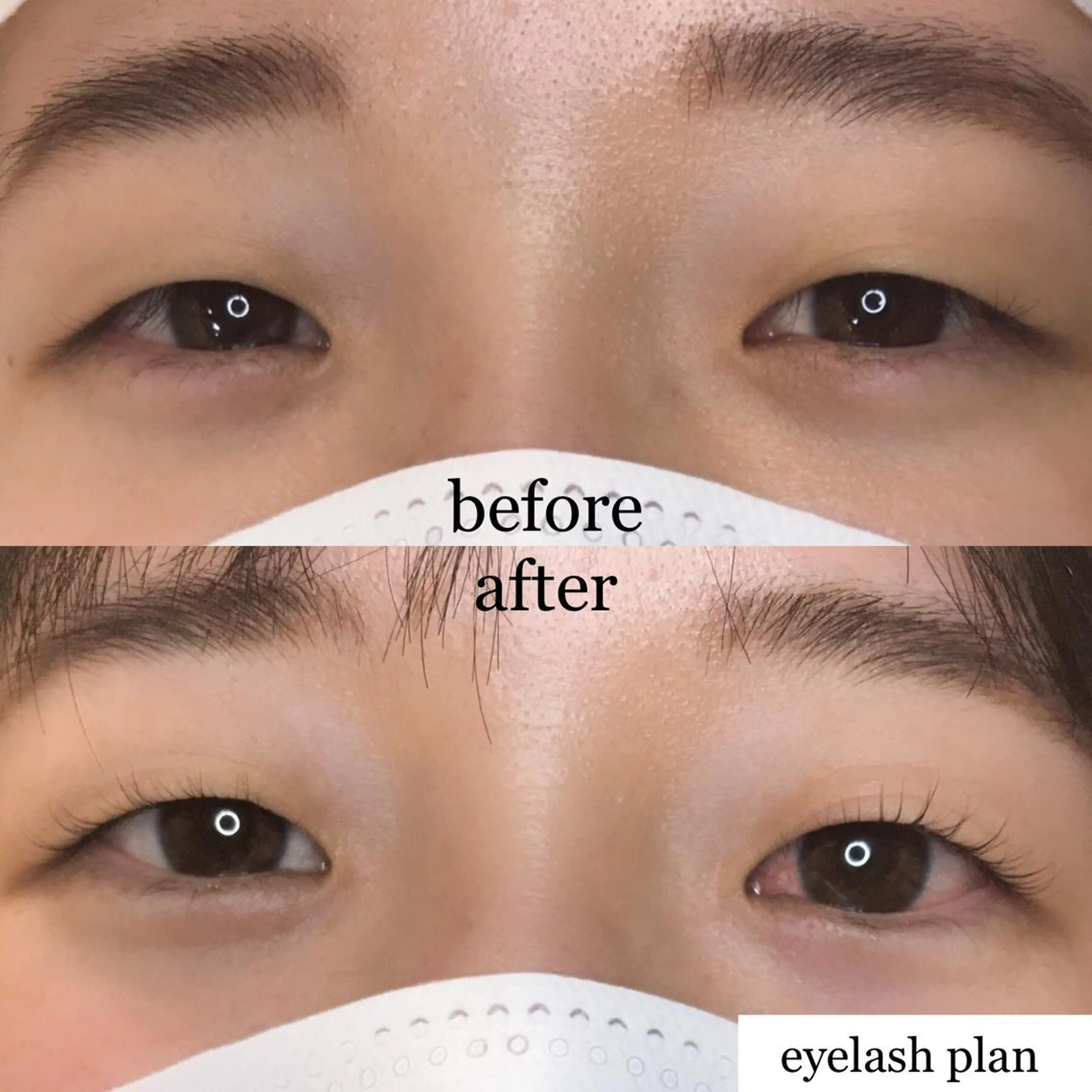 マツエク・マツパ 《eyelash ｉｉｔｅ》森のマツエク・マツパデザイン