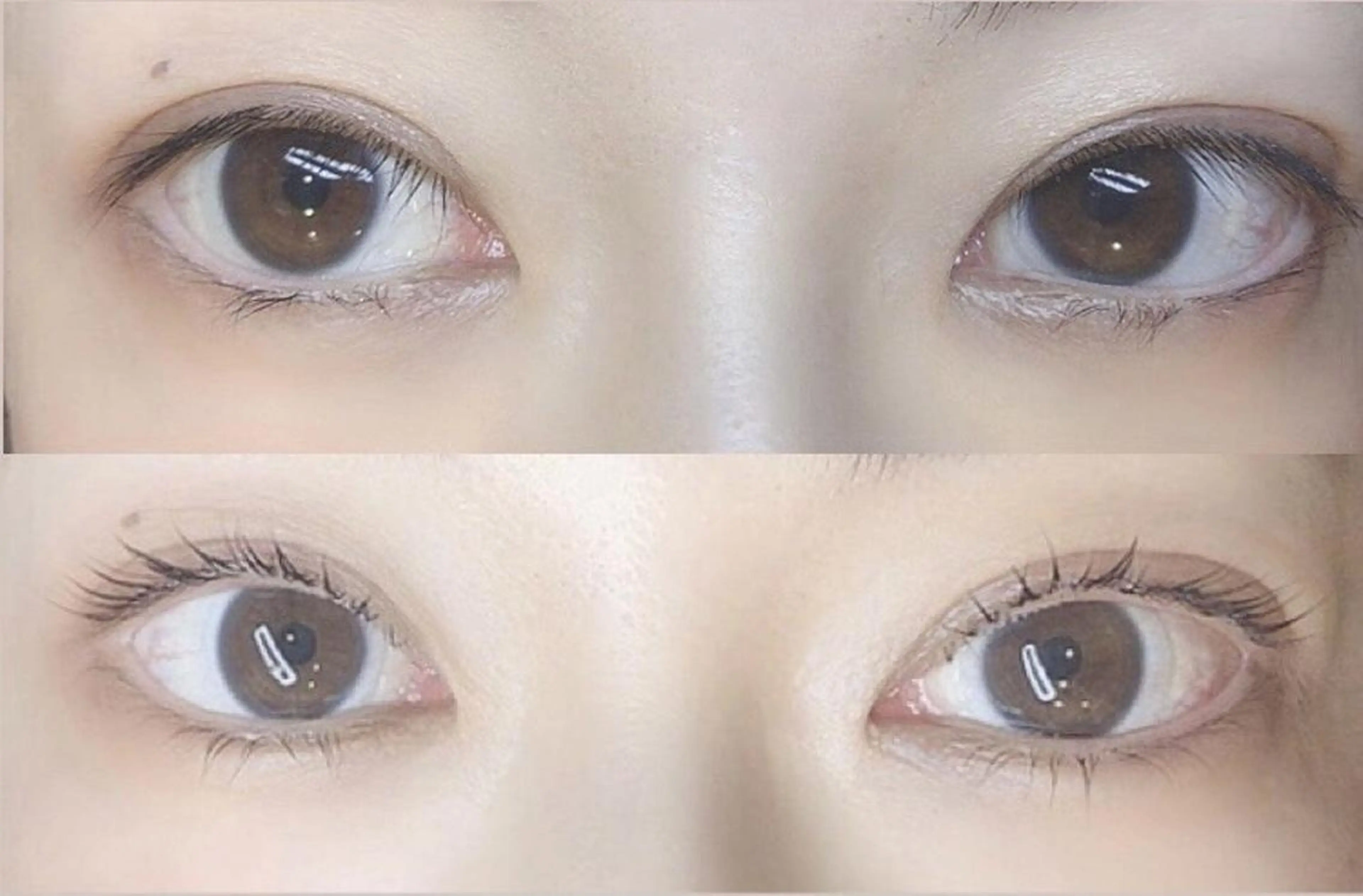 マツエク・マツパ パリジェンヌラッシュリフト Lisse Eyelashのマツエク・マツパデザイン
