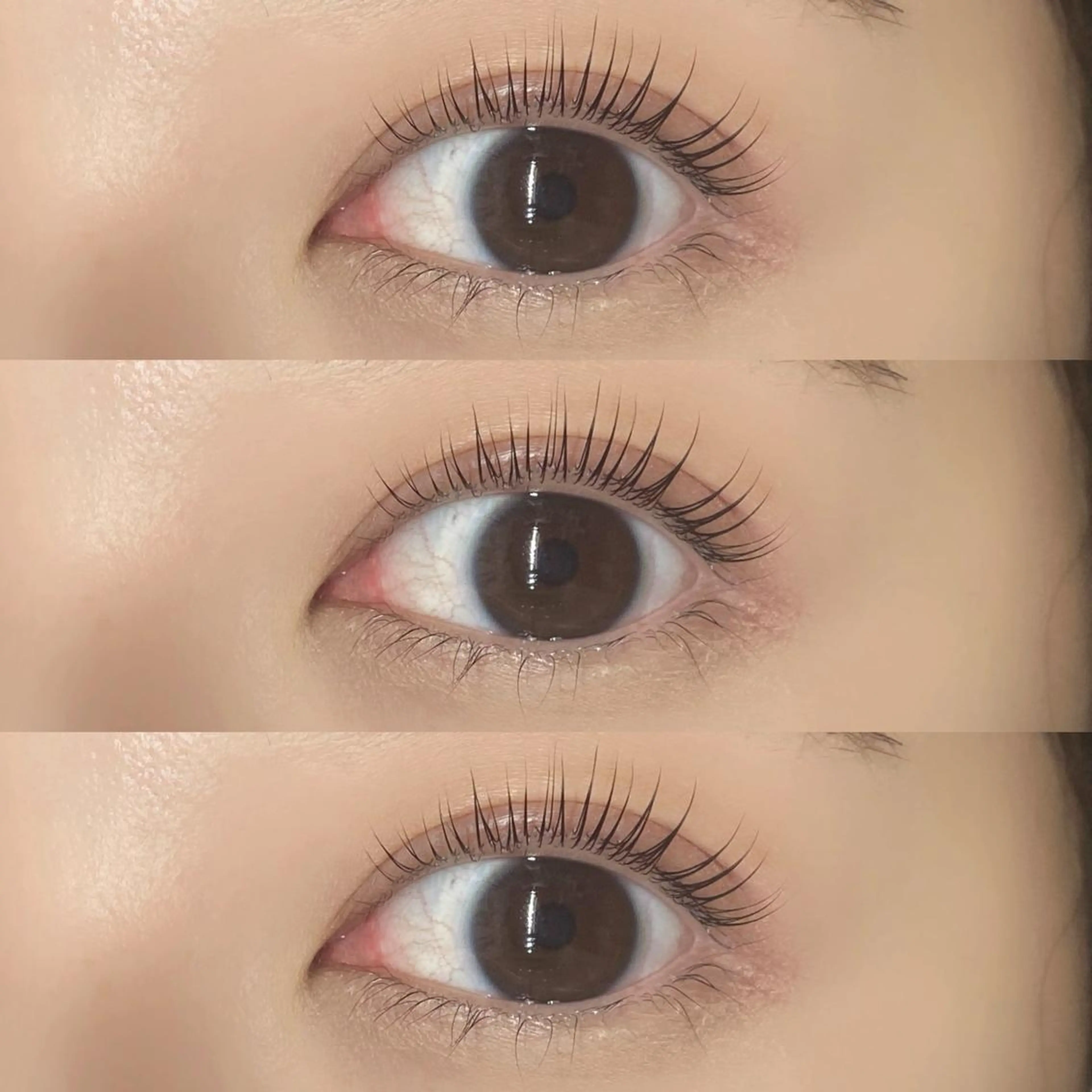 マツエク・マツパ O'L所属・Eyelash & Eyebrowのマツエク・マツパデザイン