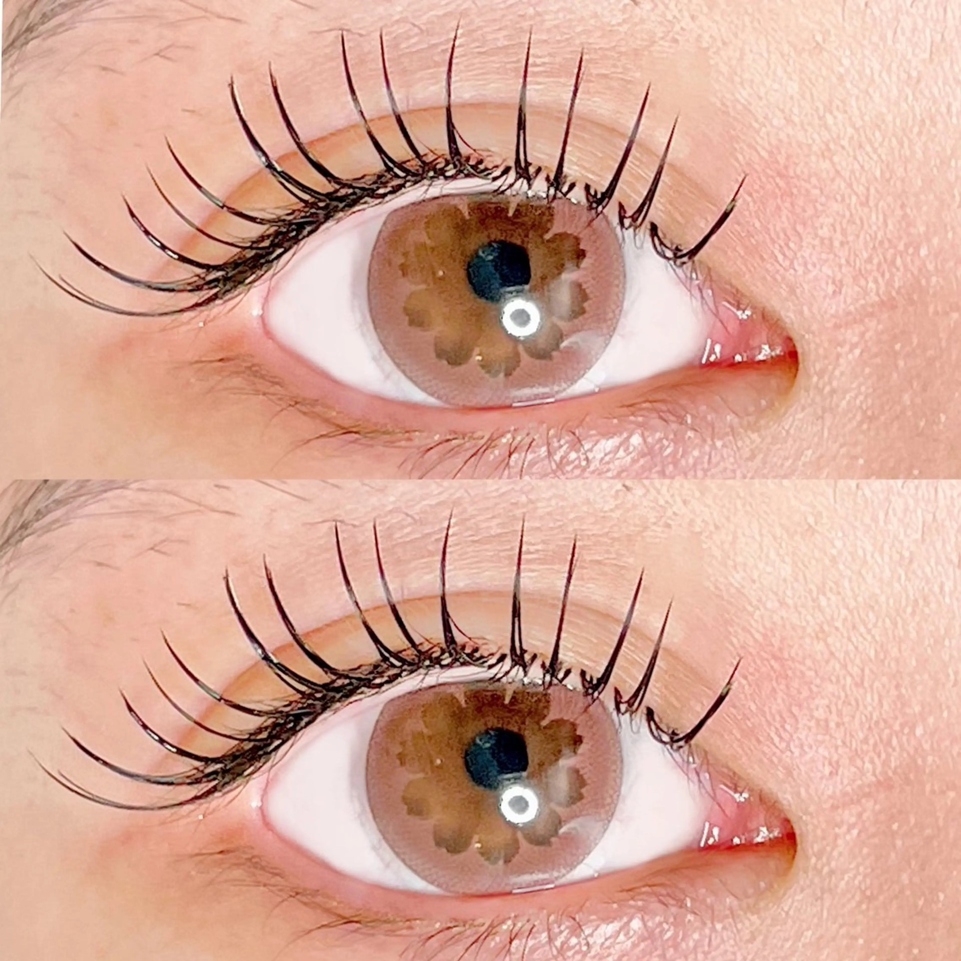 マツエク・マツパ Dカール フラットラッシュ マツエク AYLASH🧡 猪又のマツエク・マツパデザイン