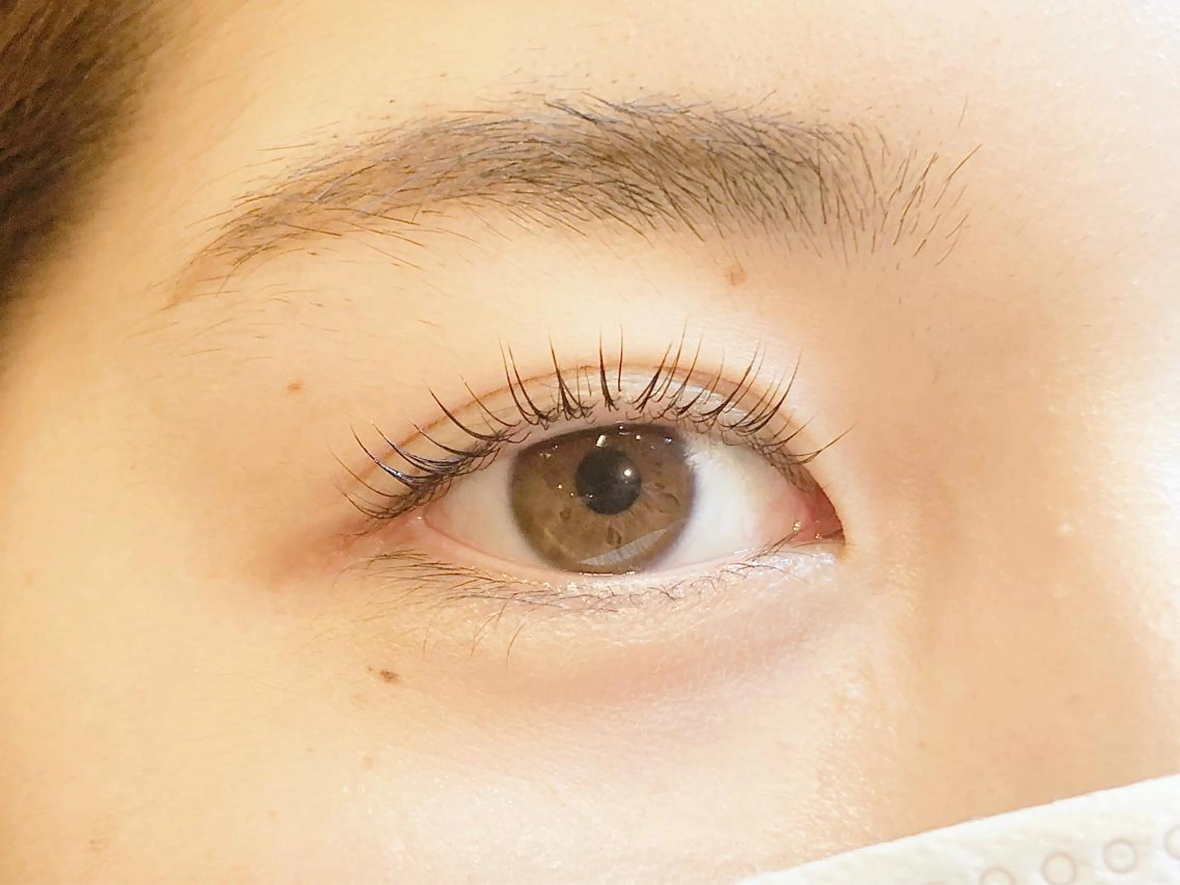 マツエク・マツパ パリジェンヌラッシュリフト Lino me. かとうのマツエク・マツパデザイン