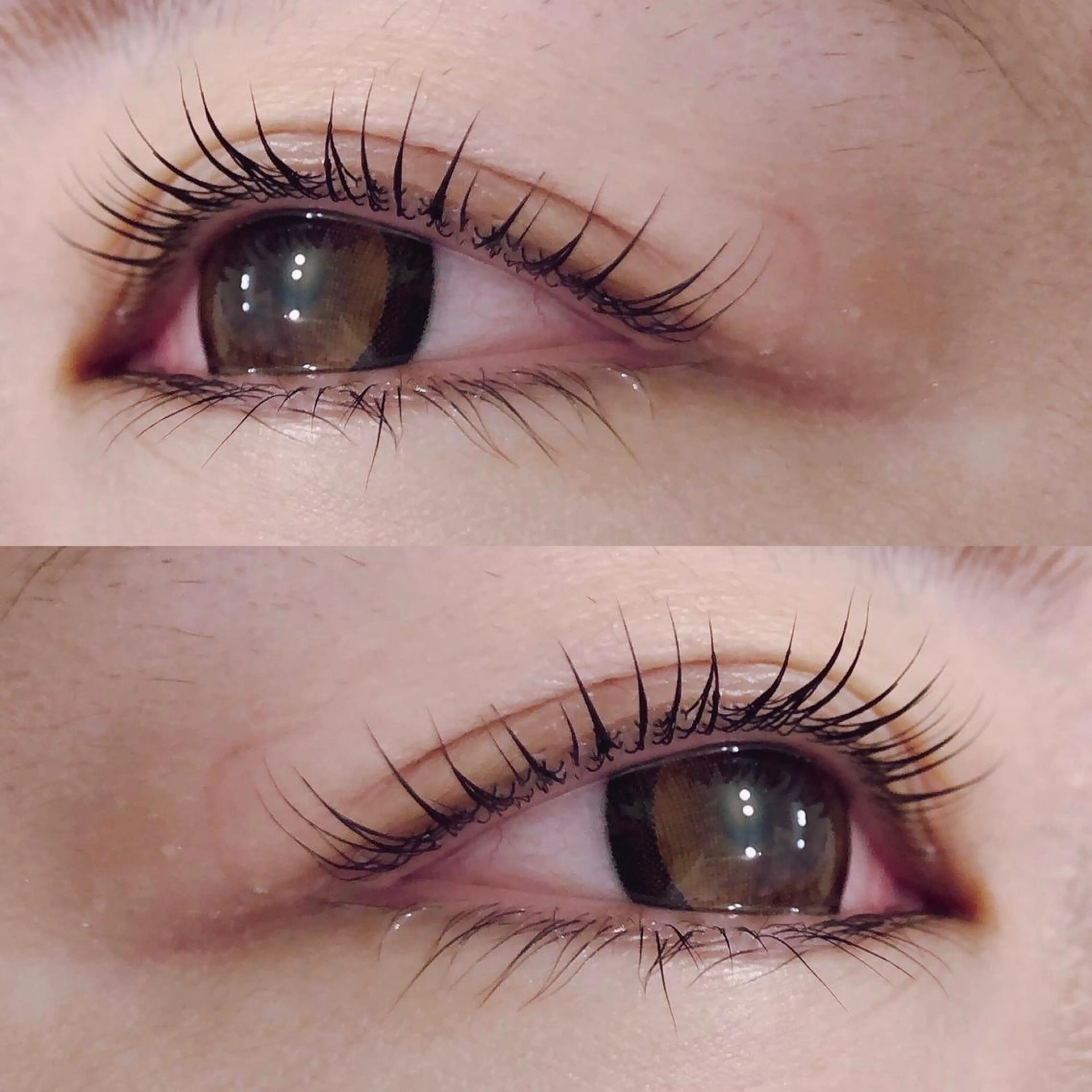 🥇ミニモ限定クーポン🧸上まつ毛パーマの写真