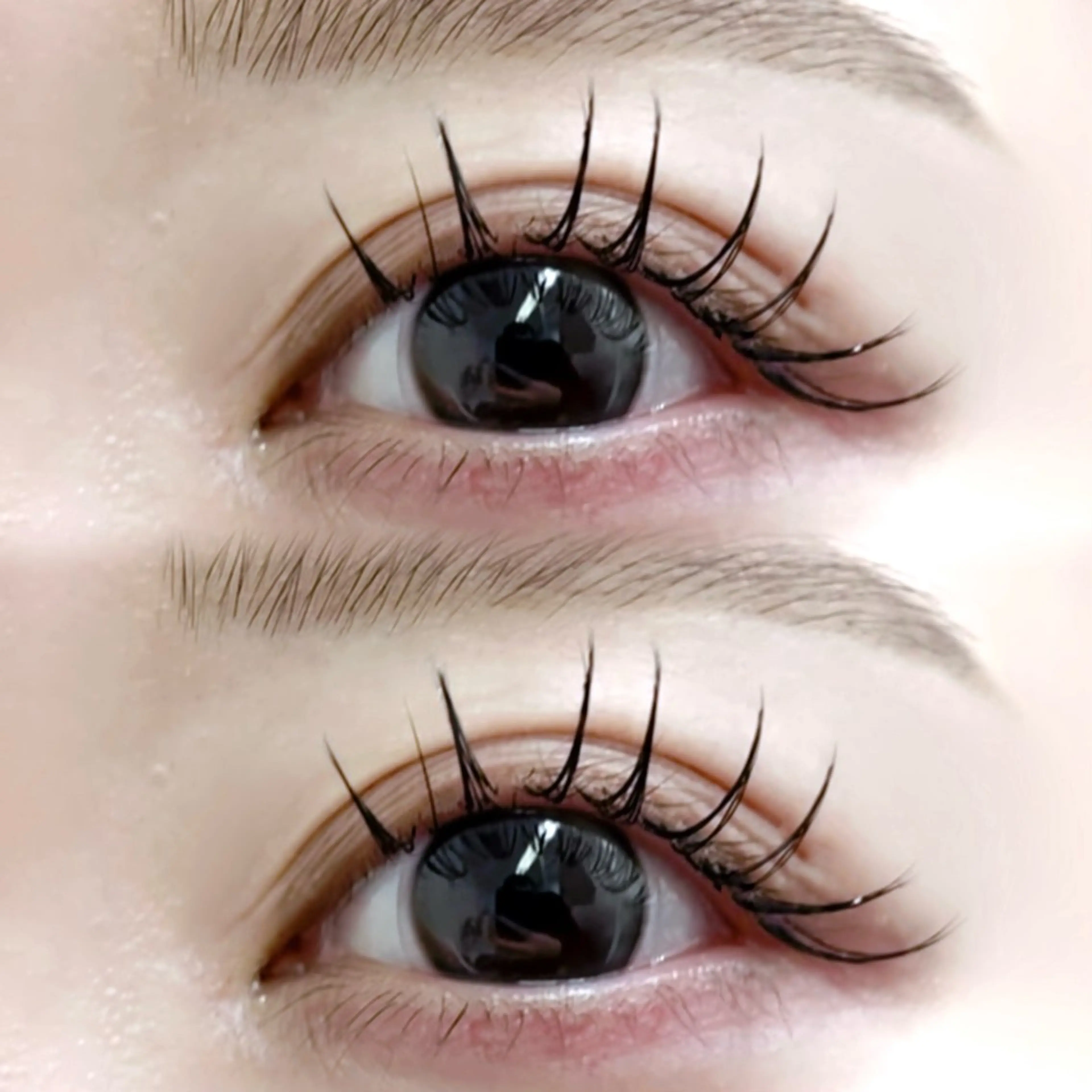 マツエク・マツパ ✴︎shui ✴︎のマツエク・マツパデザイン