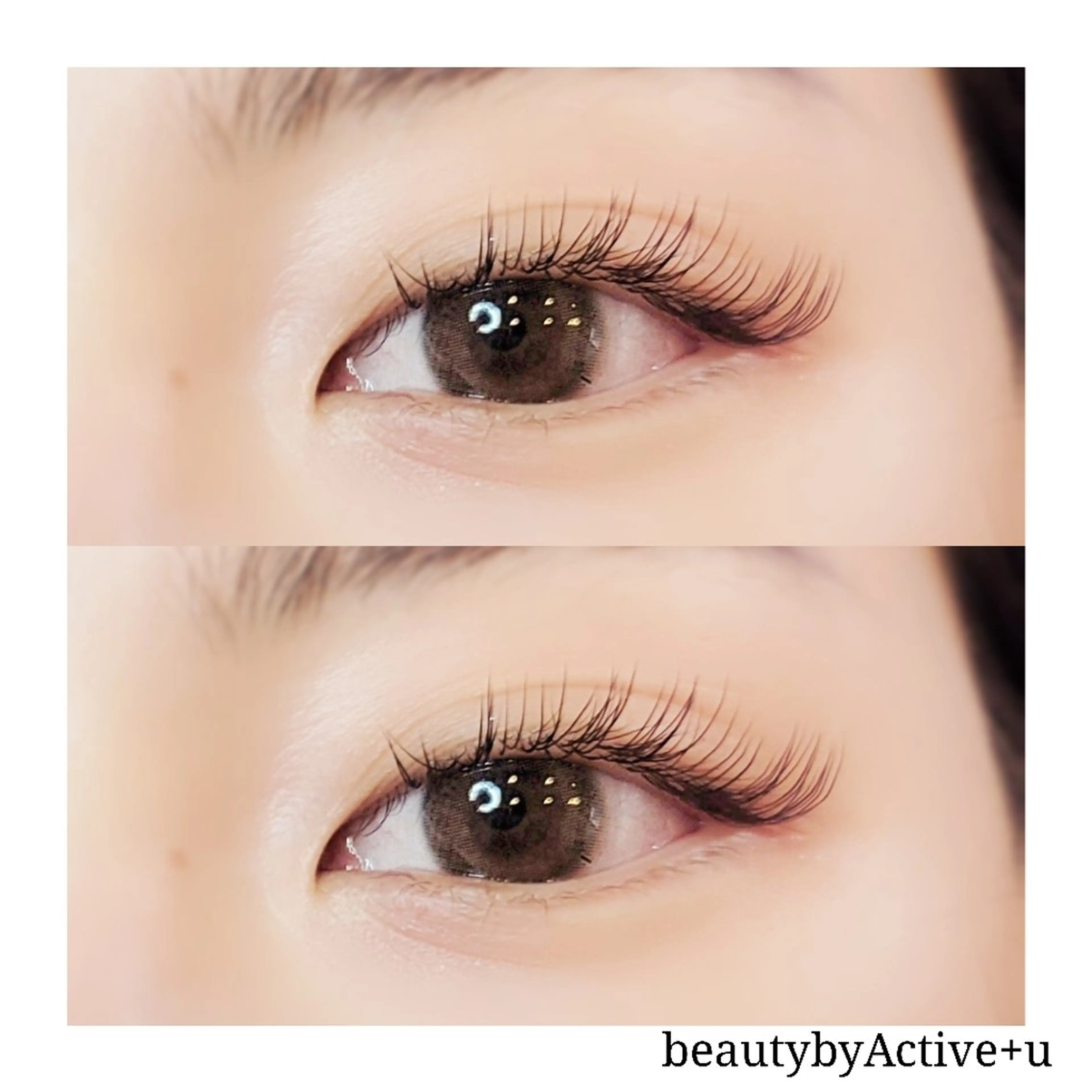 🥧高級セーブル～120本の写真