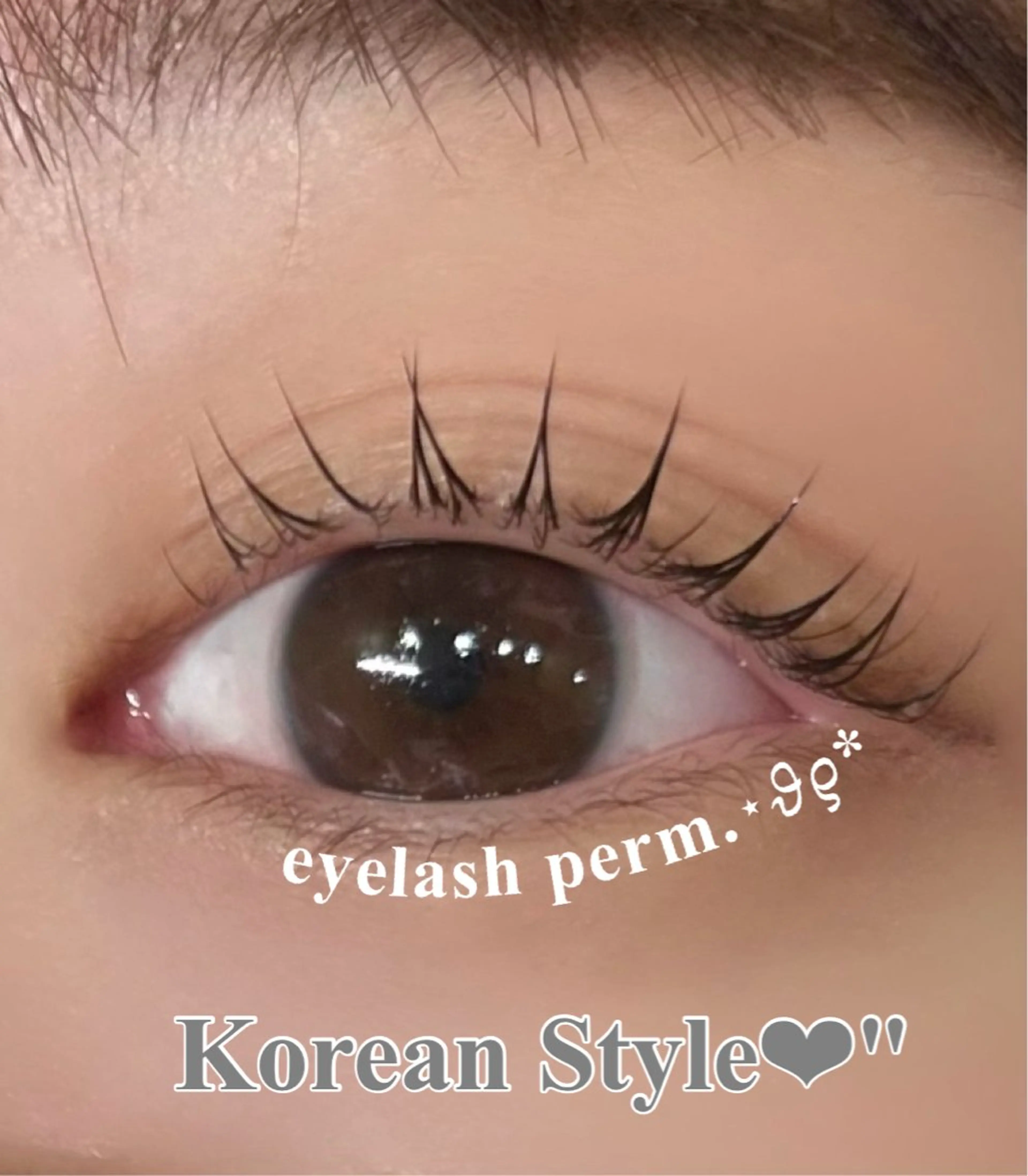 マツエク・マツパ マツパ 🎀韓国まつげ🎀 ゆりあのマツエク・マツパデザイン