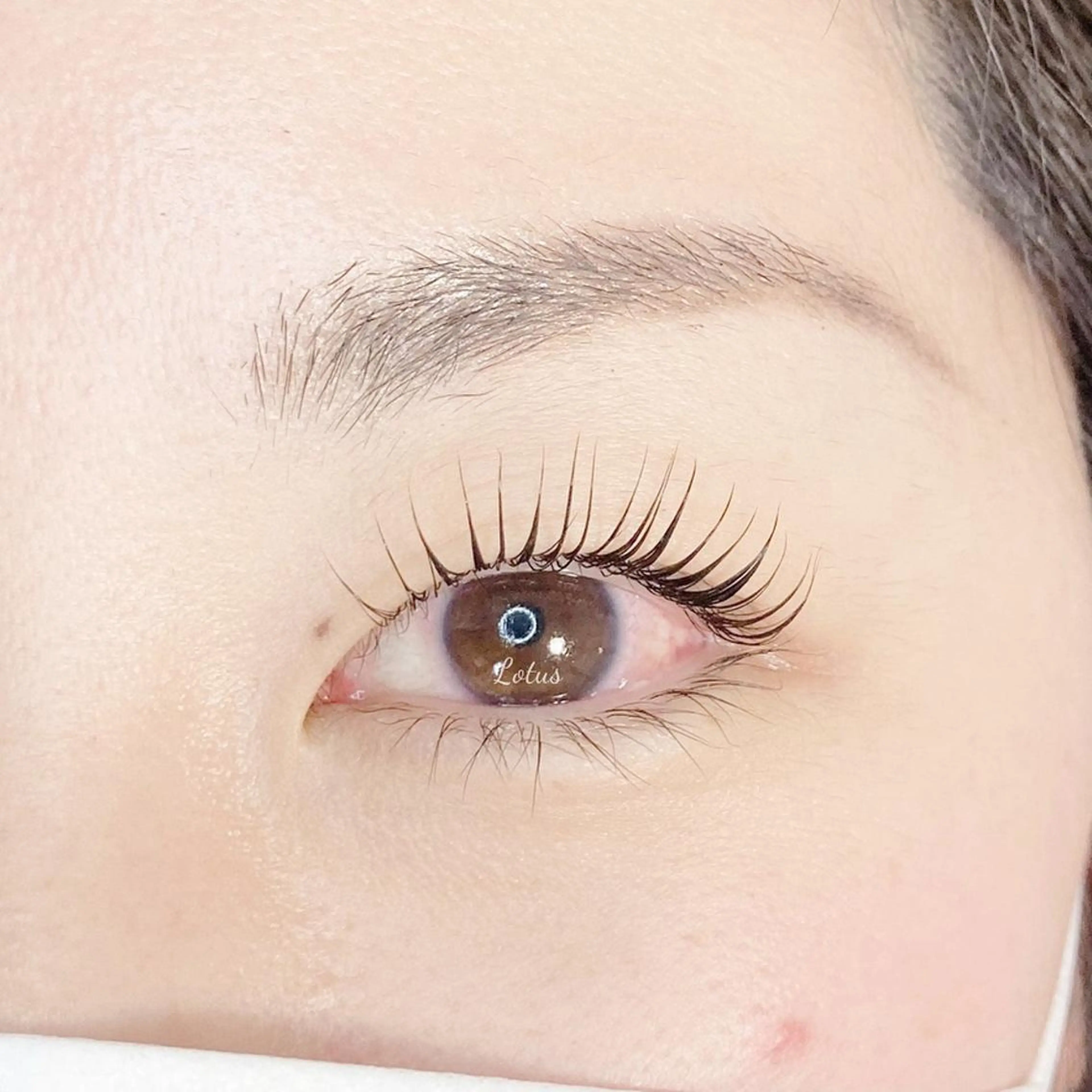 マツエク・マツパ マツパ Lotus所属・Lotus ロータスのマツエク・マツパデザイン