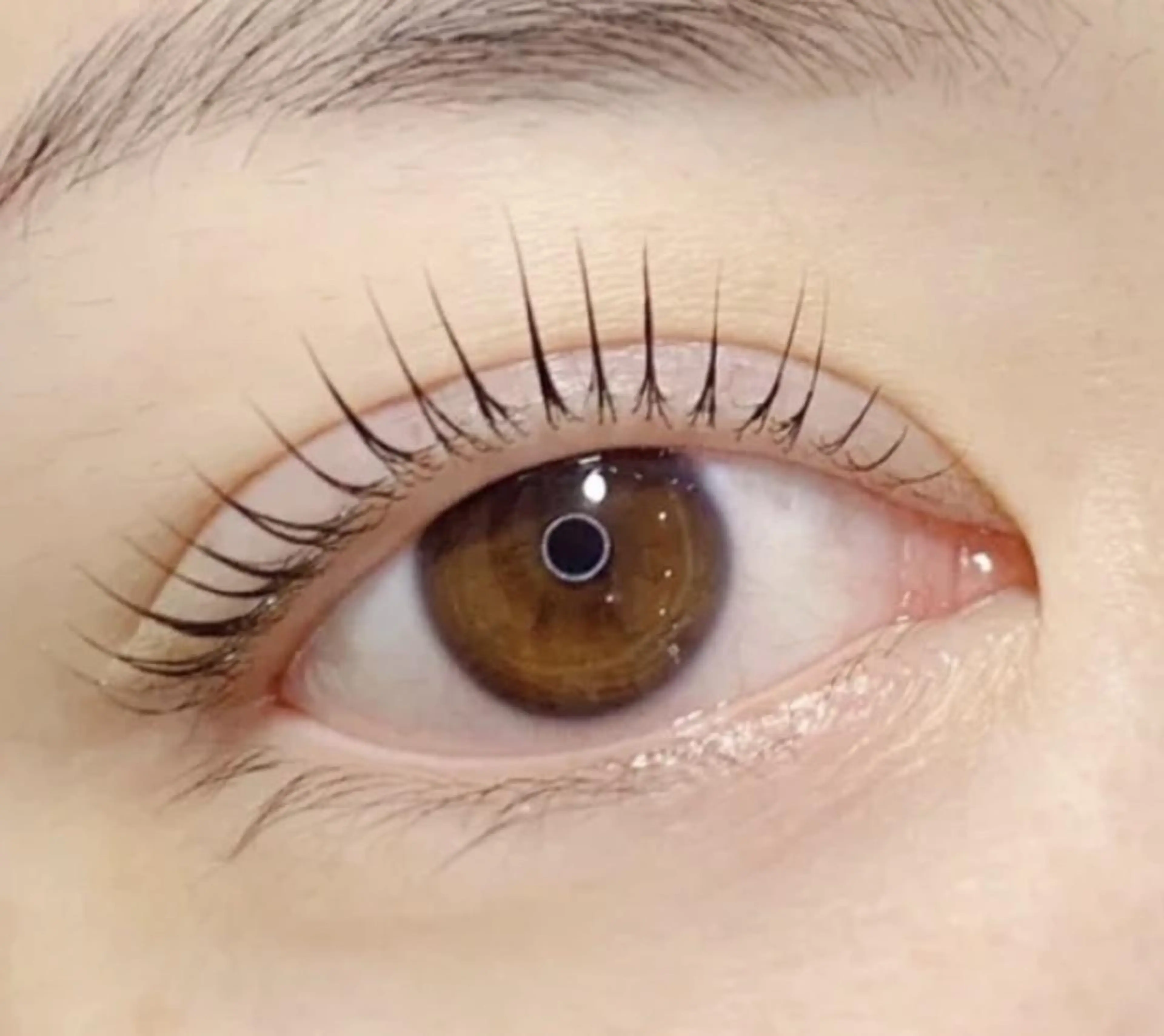 マツエク・マツパ マツパ Cute B e au t yのマツエク・マツパデザイン