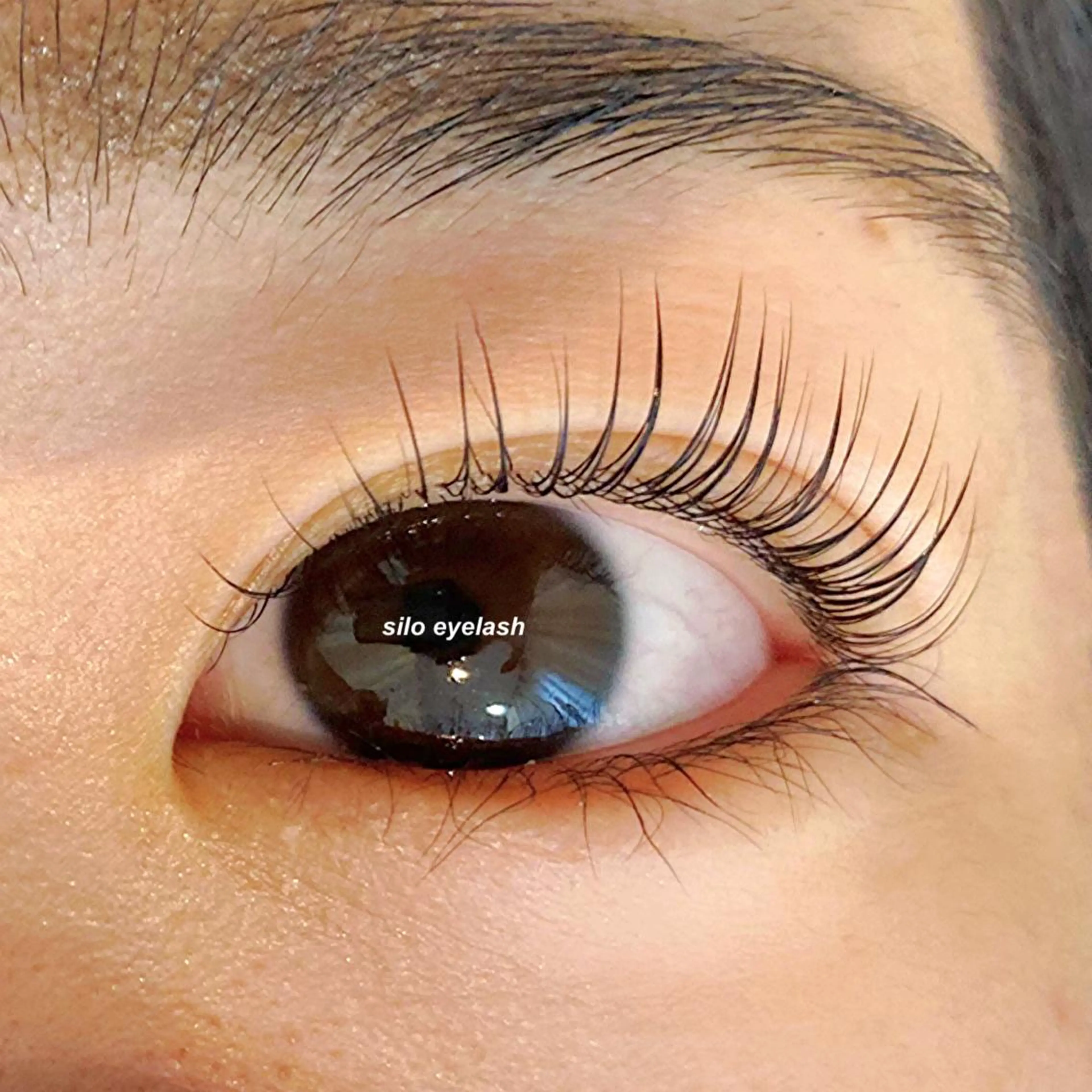 マツエク・マツパ パリジェンヌラッシュリフト silo にひらのマツエク・マツパデザイン