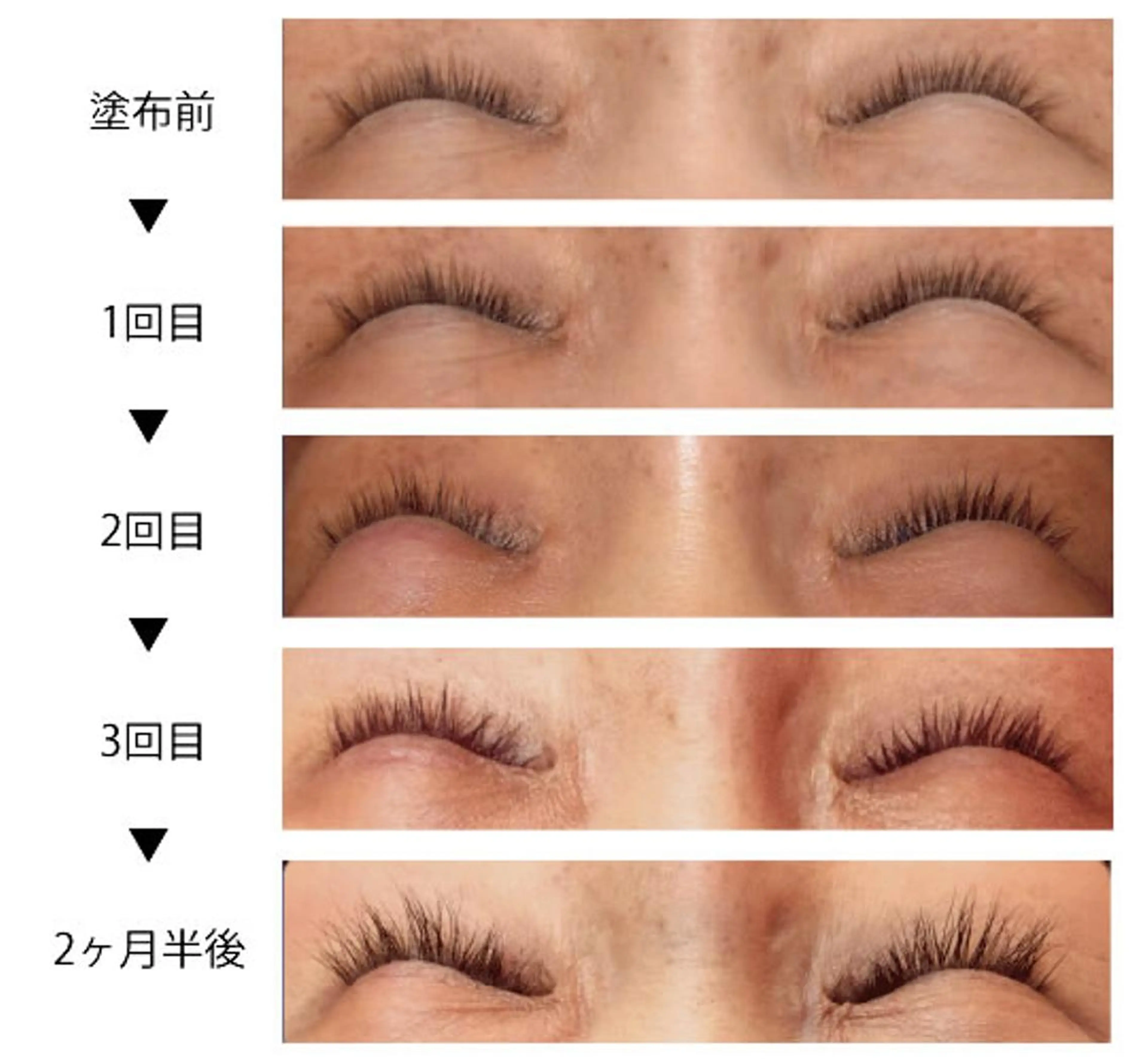 マツエク・マツパ ケラチンラッシュリフト バインドロック Cカール カラーマツエク キュート その他(アイブロウ) eyelash presh yukaのマツエク・マツパデザイン