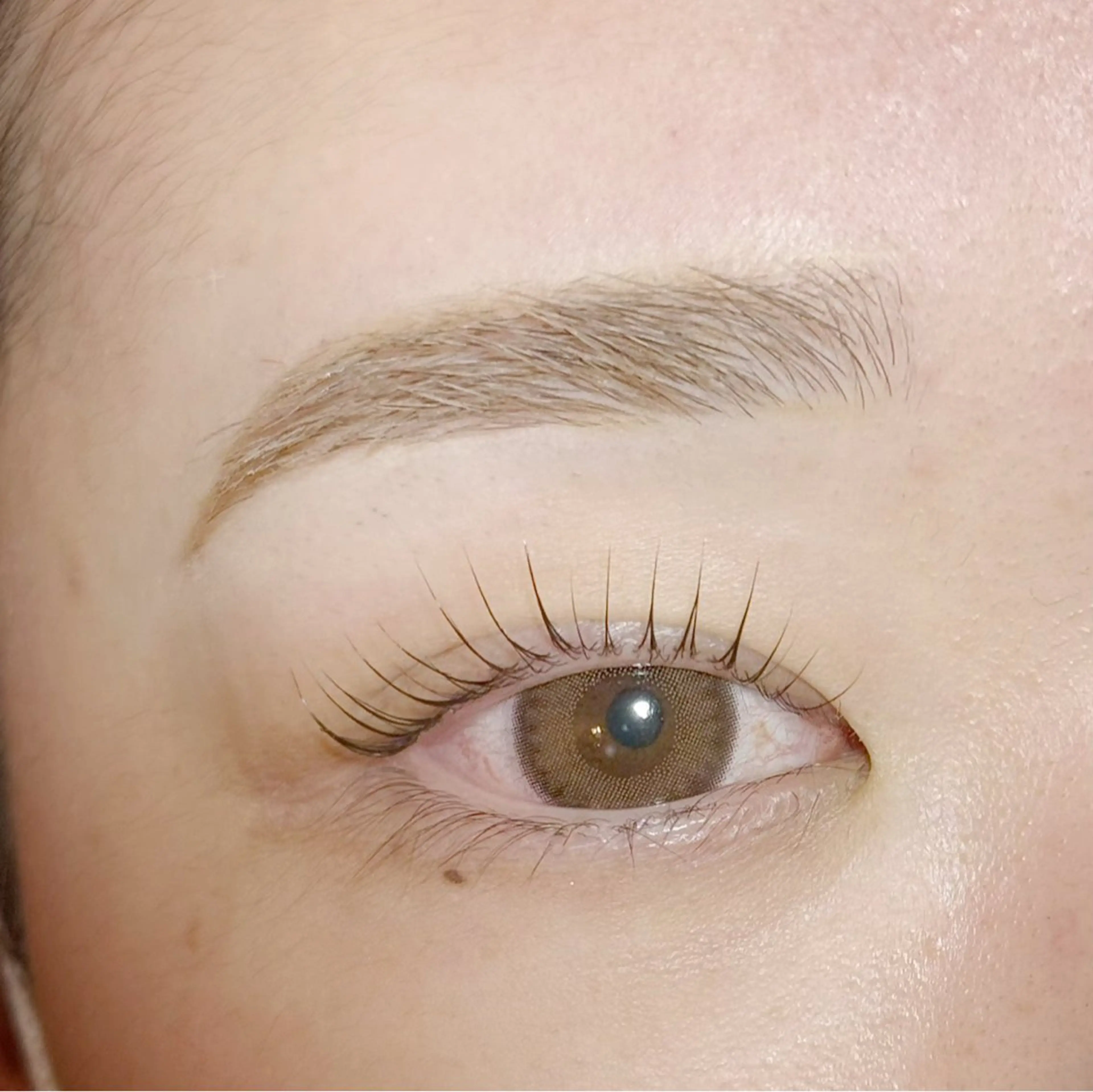 ラッシュリフトの写真