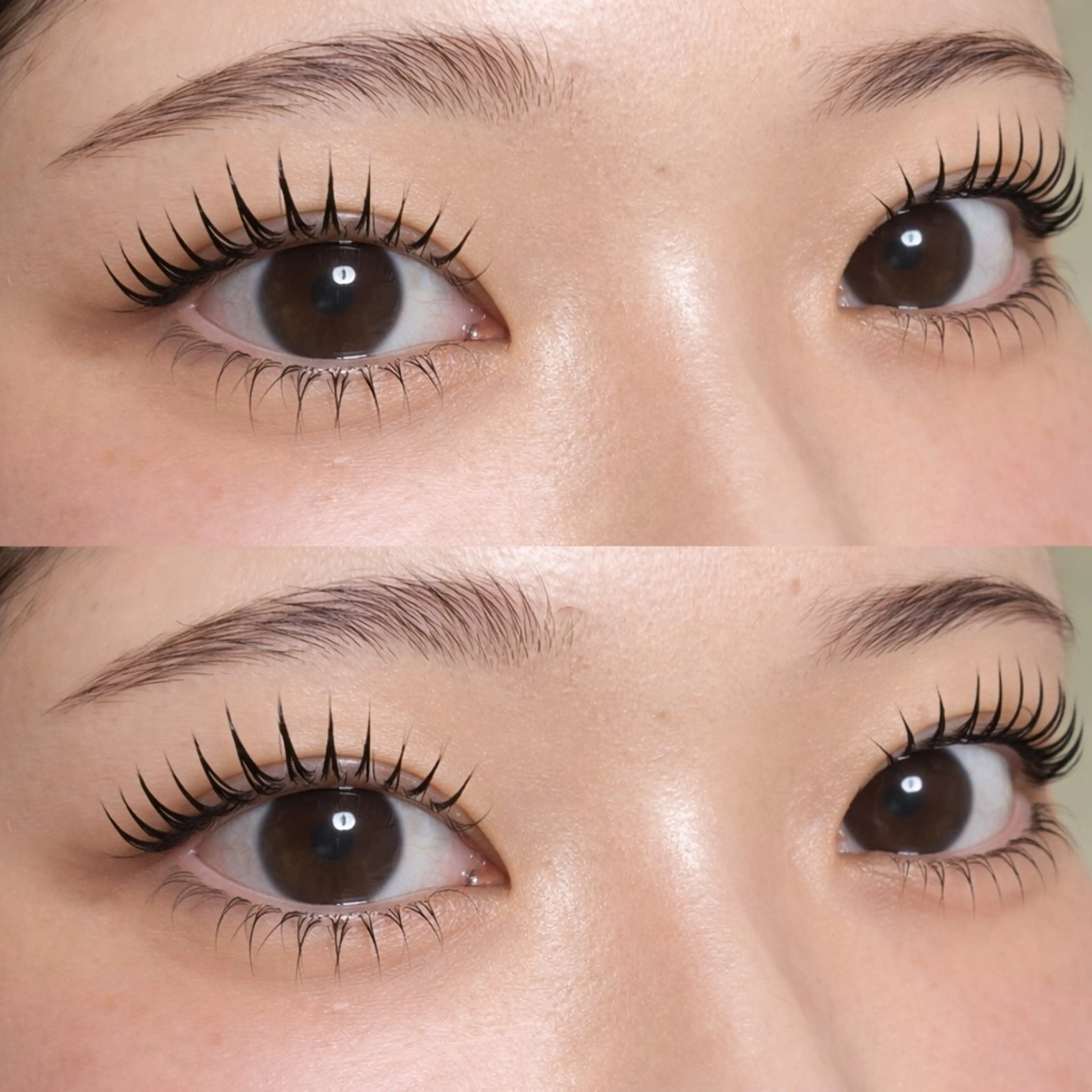 マツエク・マツパ 👑𝐊𝐢𝐧𝐠 心斎橋店🎀美麗のマツエク・マツパデザイン