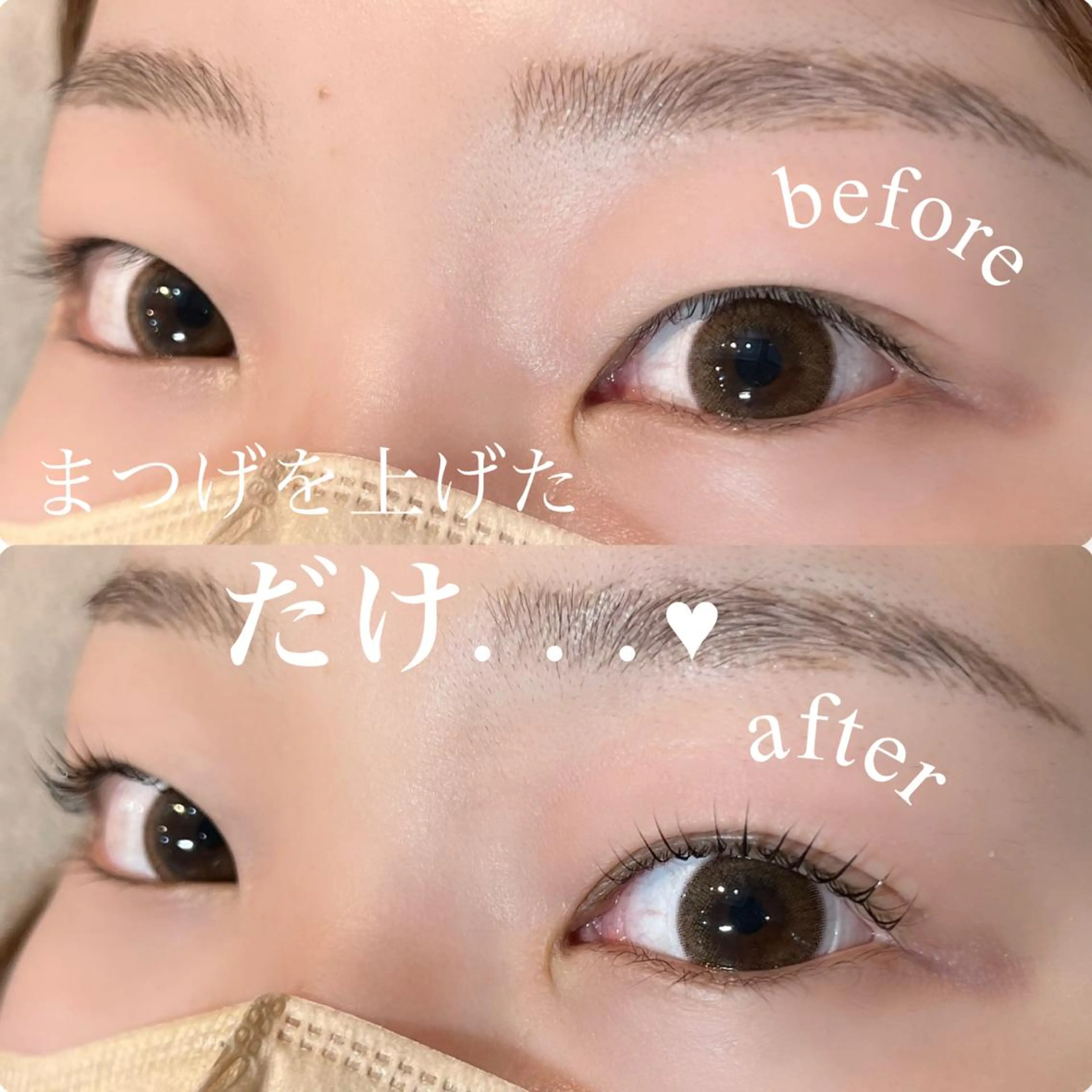 マツエク・マツパ まつげパーマ マツパ 谷本望 /宝塚eyelashの眉毛・アイブロウイメージ