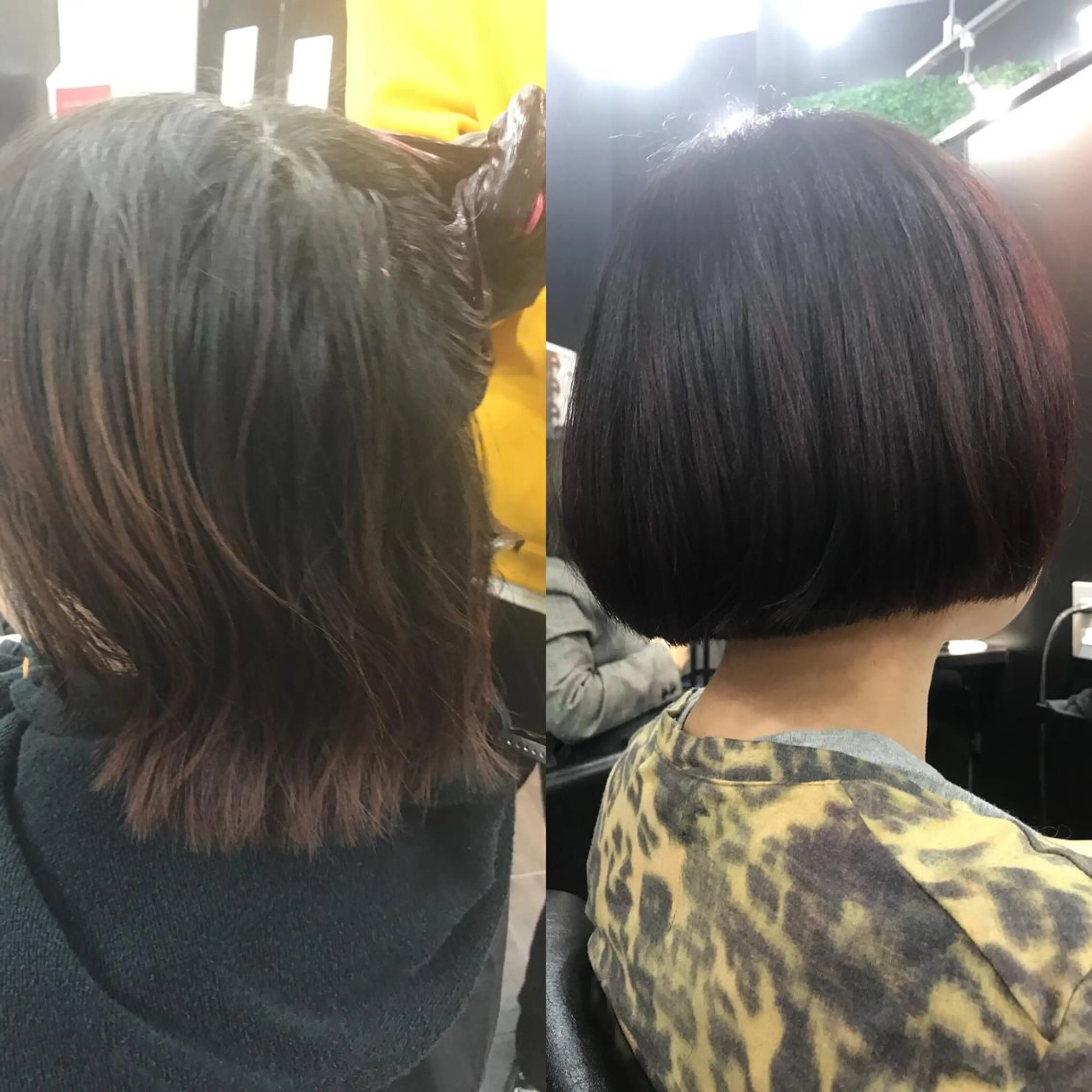 ショート カラー ハイライト/髪質改善 ans/黒木 和大のヘアスタイル