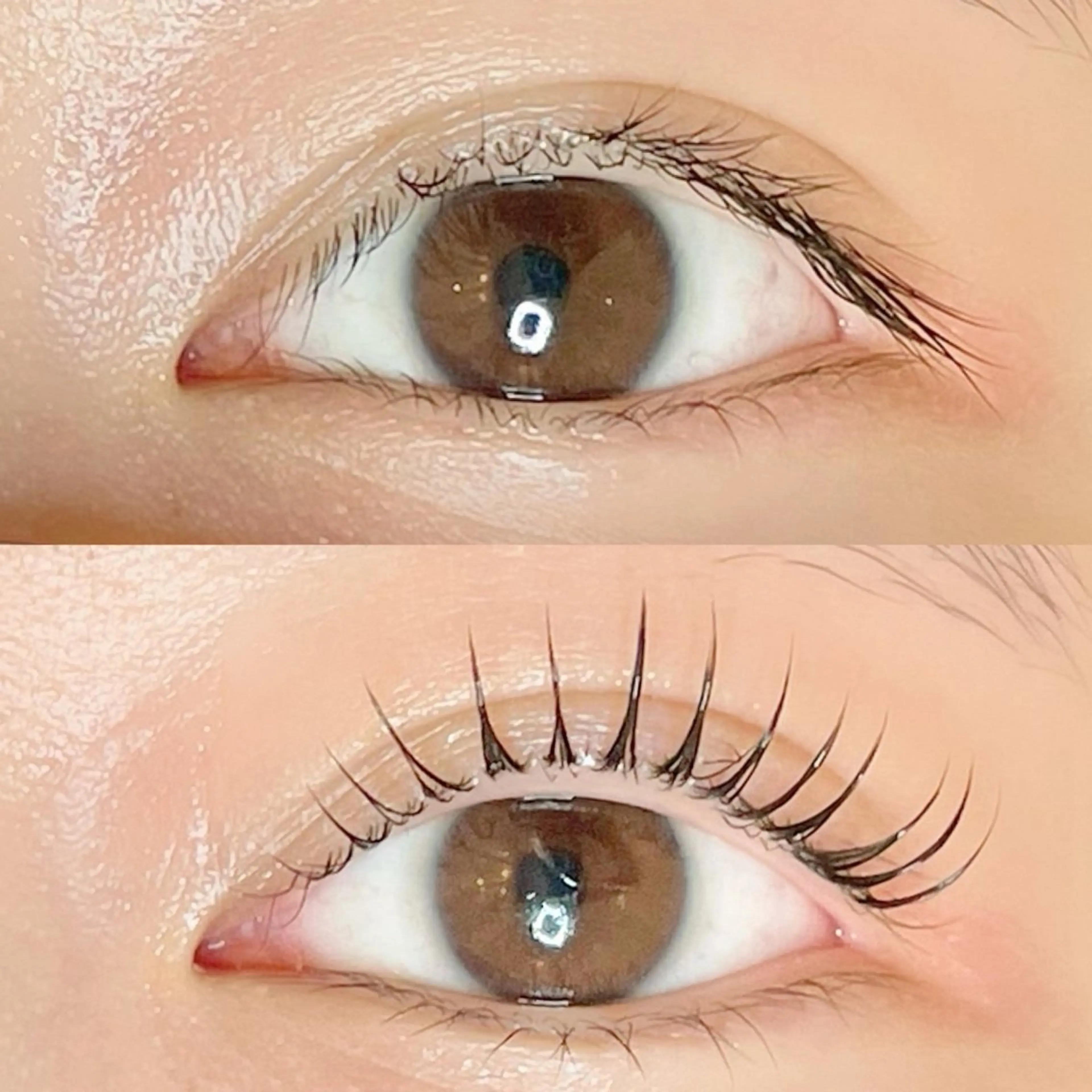 マツエク・マツパ マツパ AYLASH🧡 猪又のマツエク・マツパデザイン