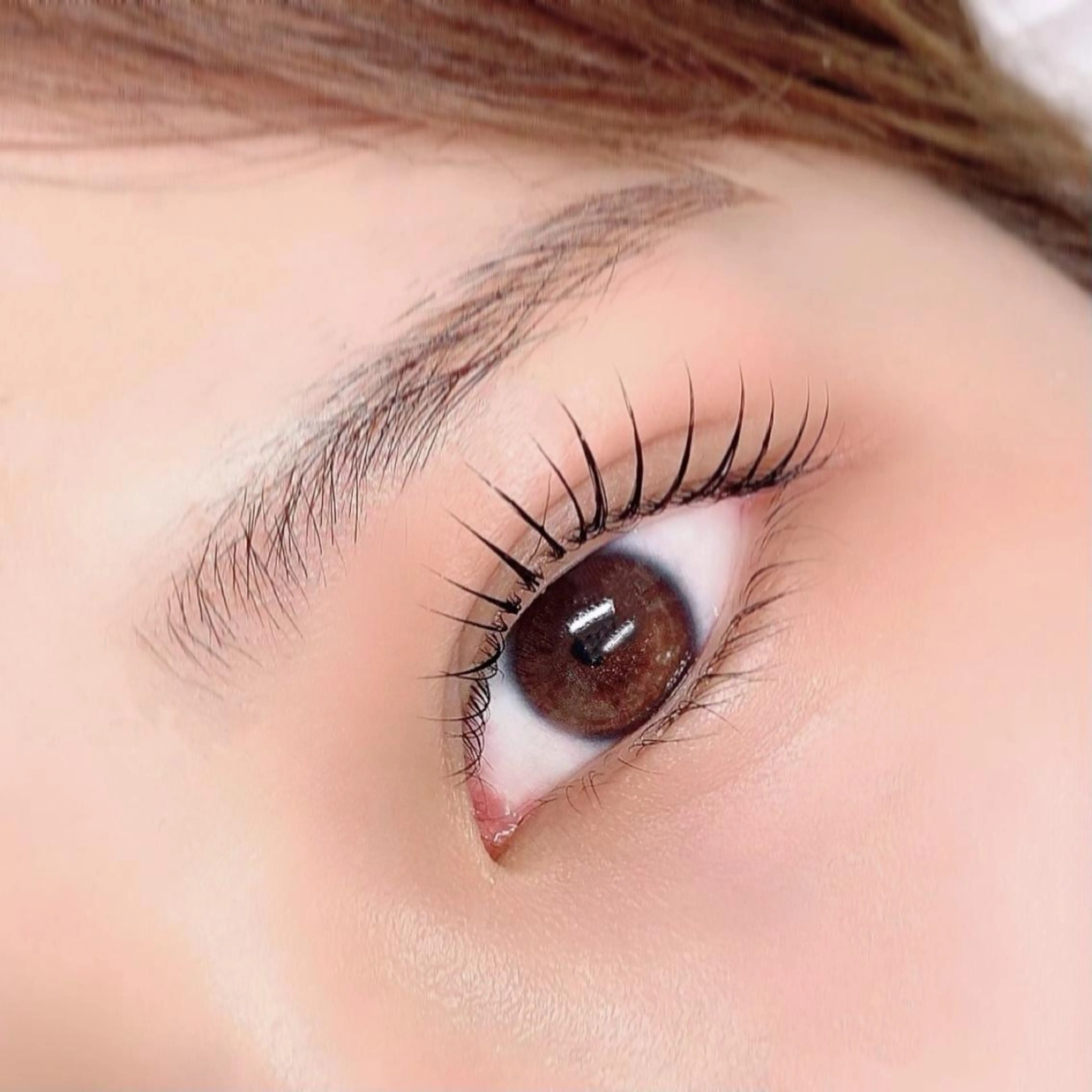 ダメージレスラッシュリフト（上まつげパーマ）🪄アイシャンプー、高濃度トリートメント付きの写真