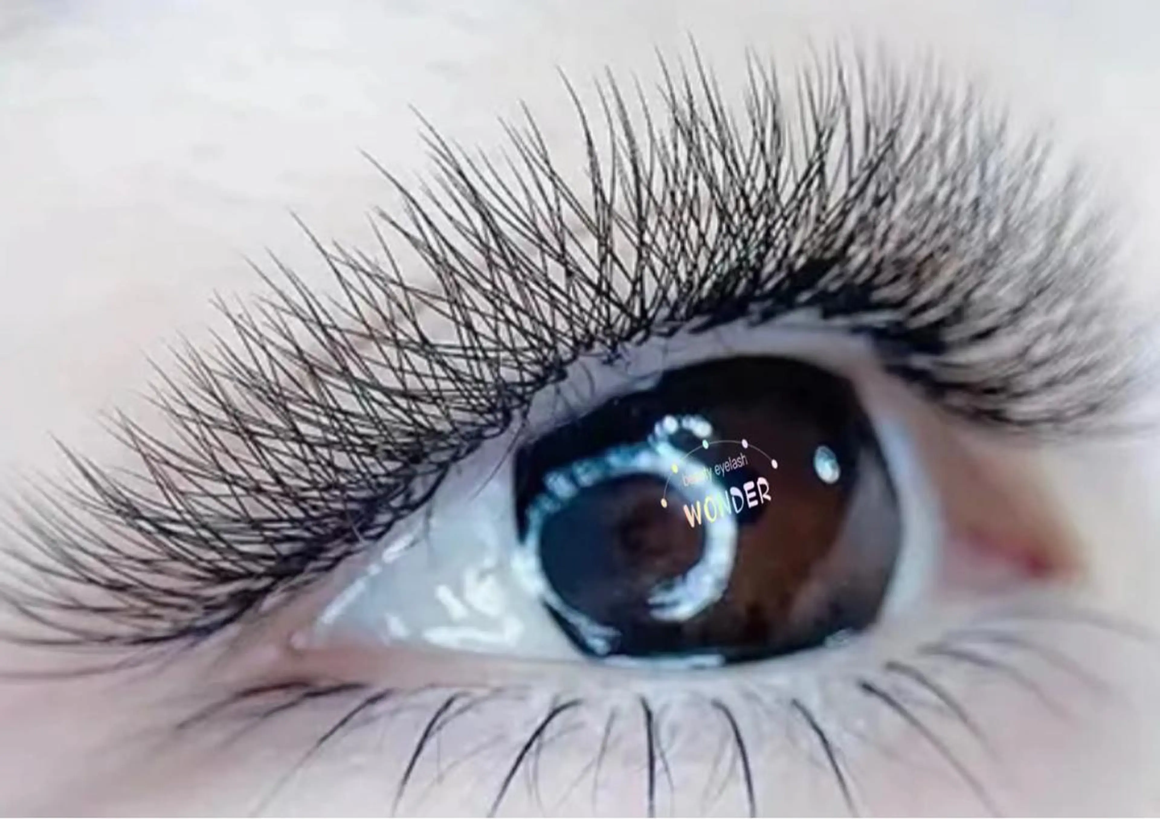 【YY/3D/5D開花ボリュームラッシュ】120束【360本-600本】の写真