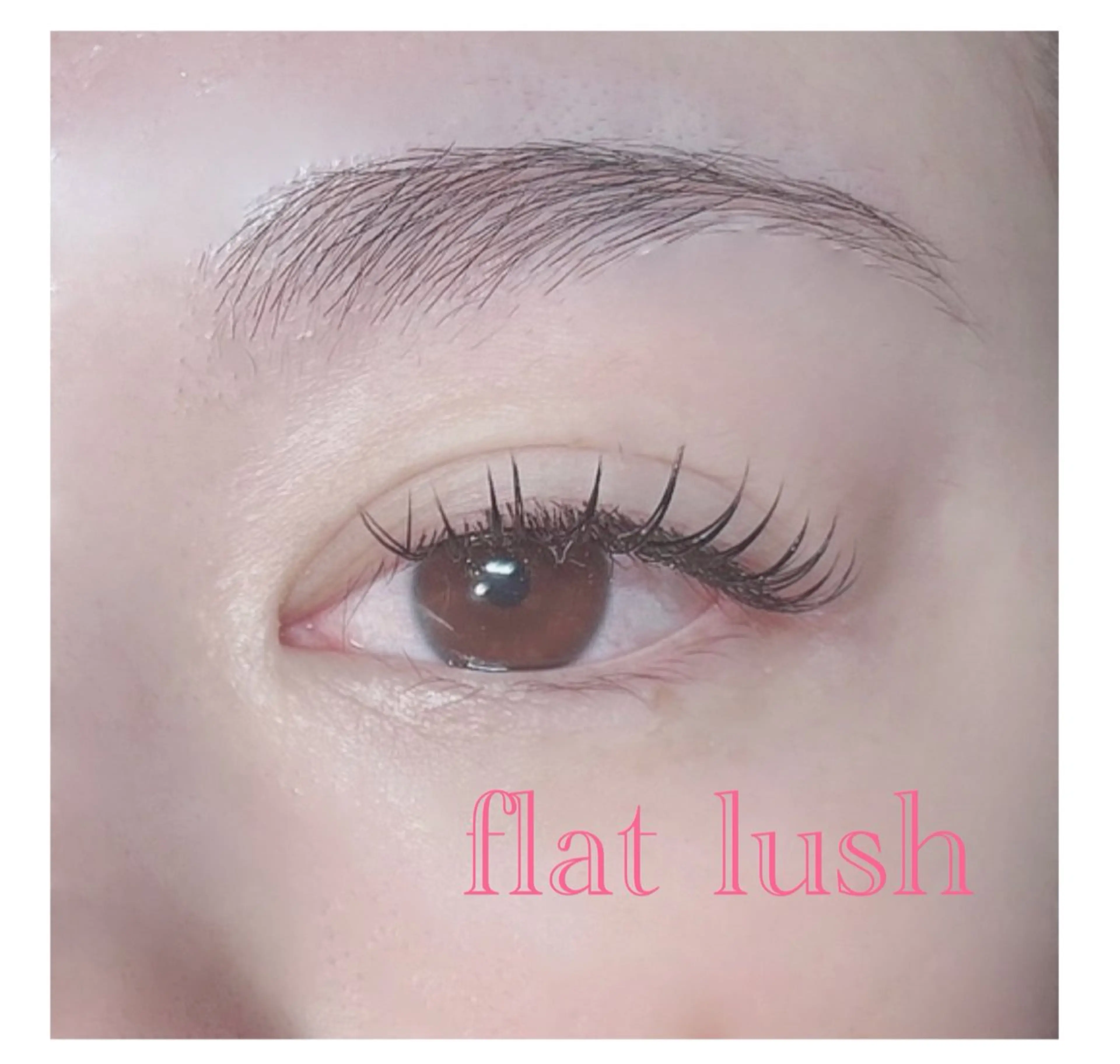 ﾌﾗｯﾄﾗｯｼｭ♡150本の写真