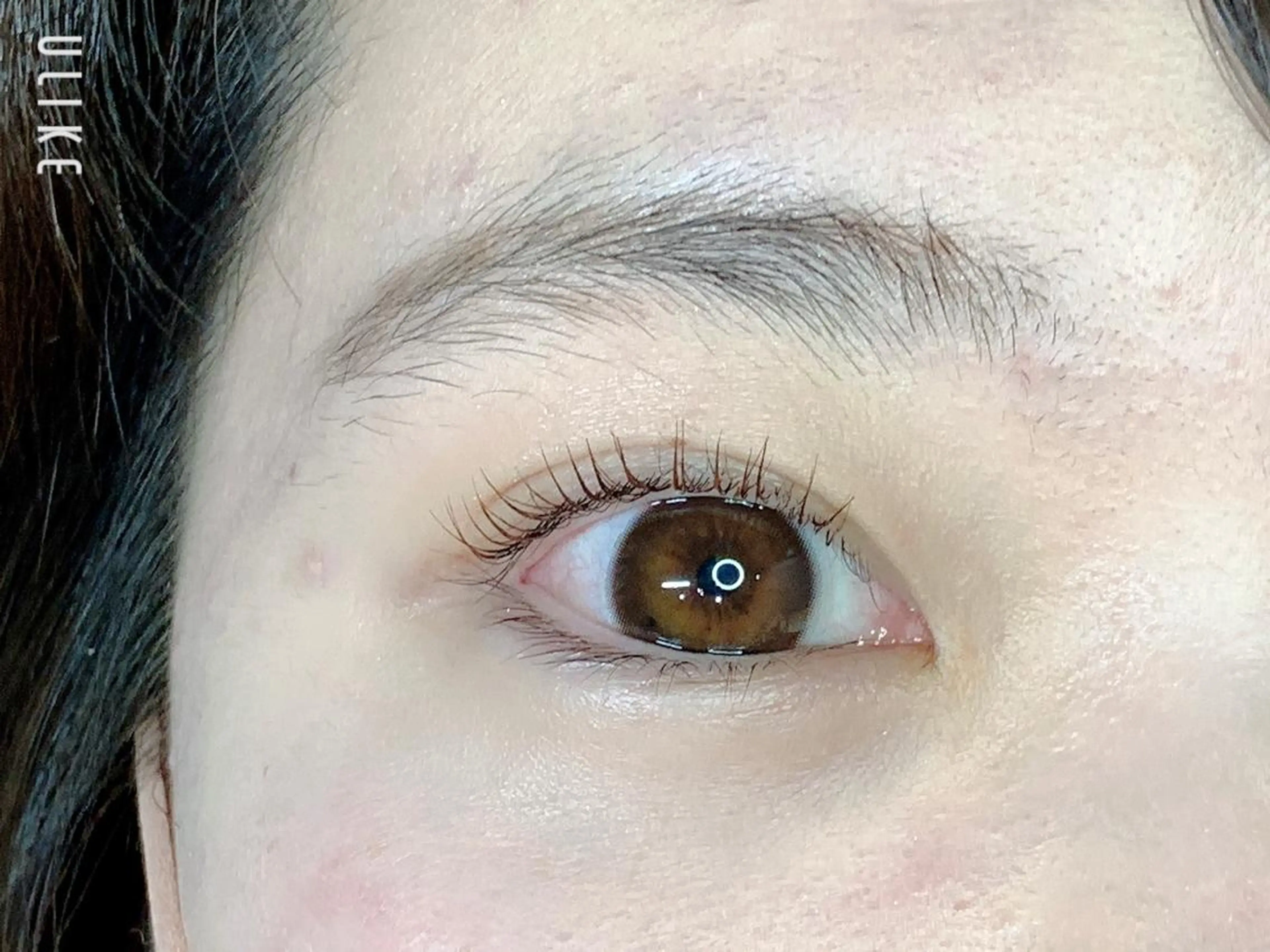 マツエク・マツパ カラーマツエク ReBellaリベラ ハセベの眉毛・アイブロウイメージ