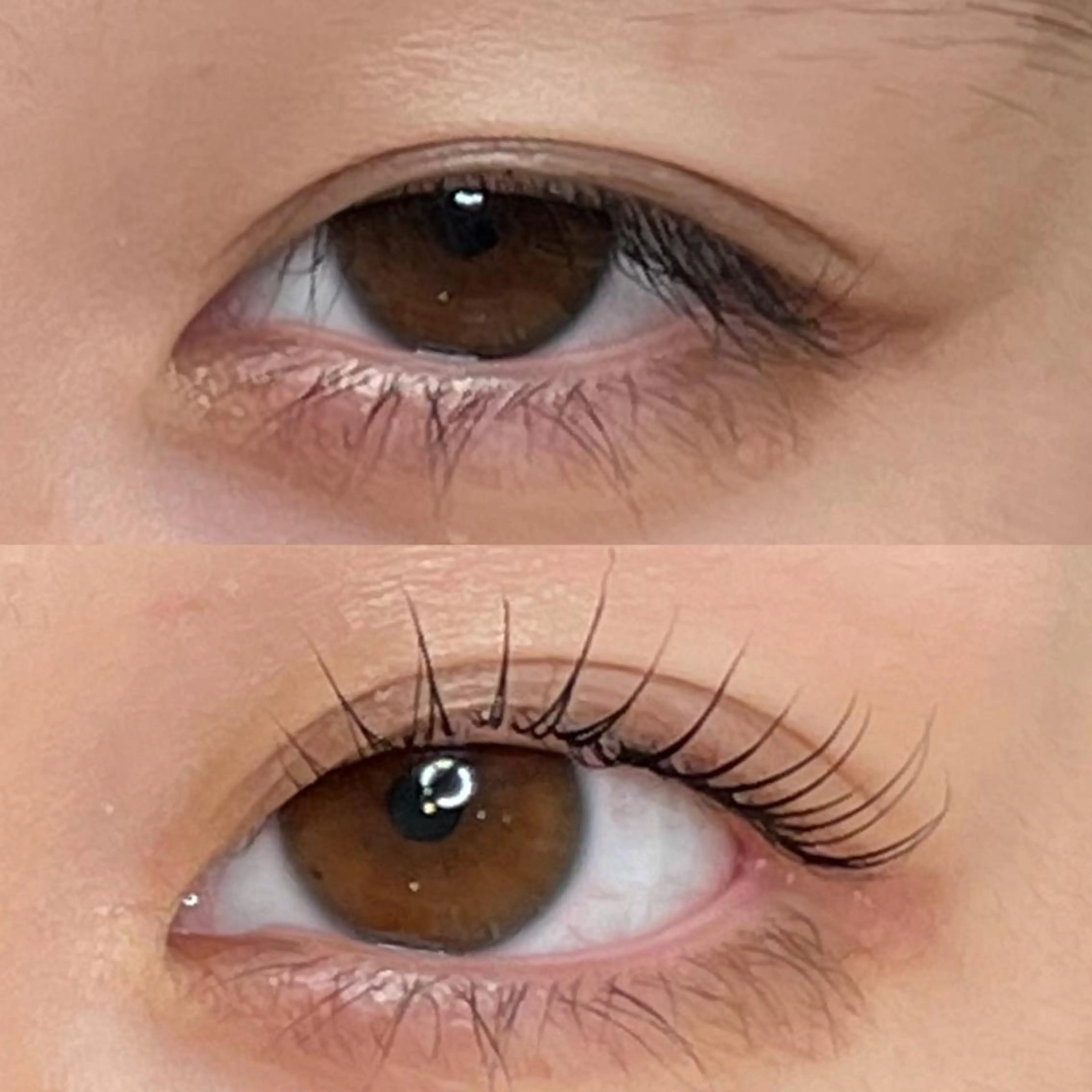 マツエク・マツパ マツパ AYLASH🧡 猪又のマツエク・マツパデザイン