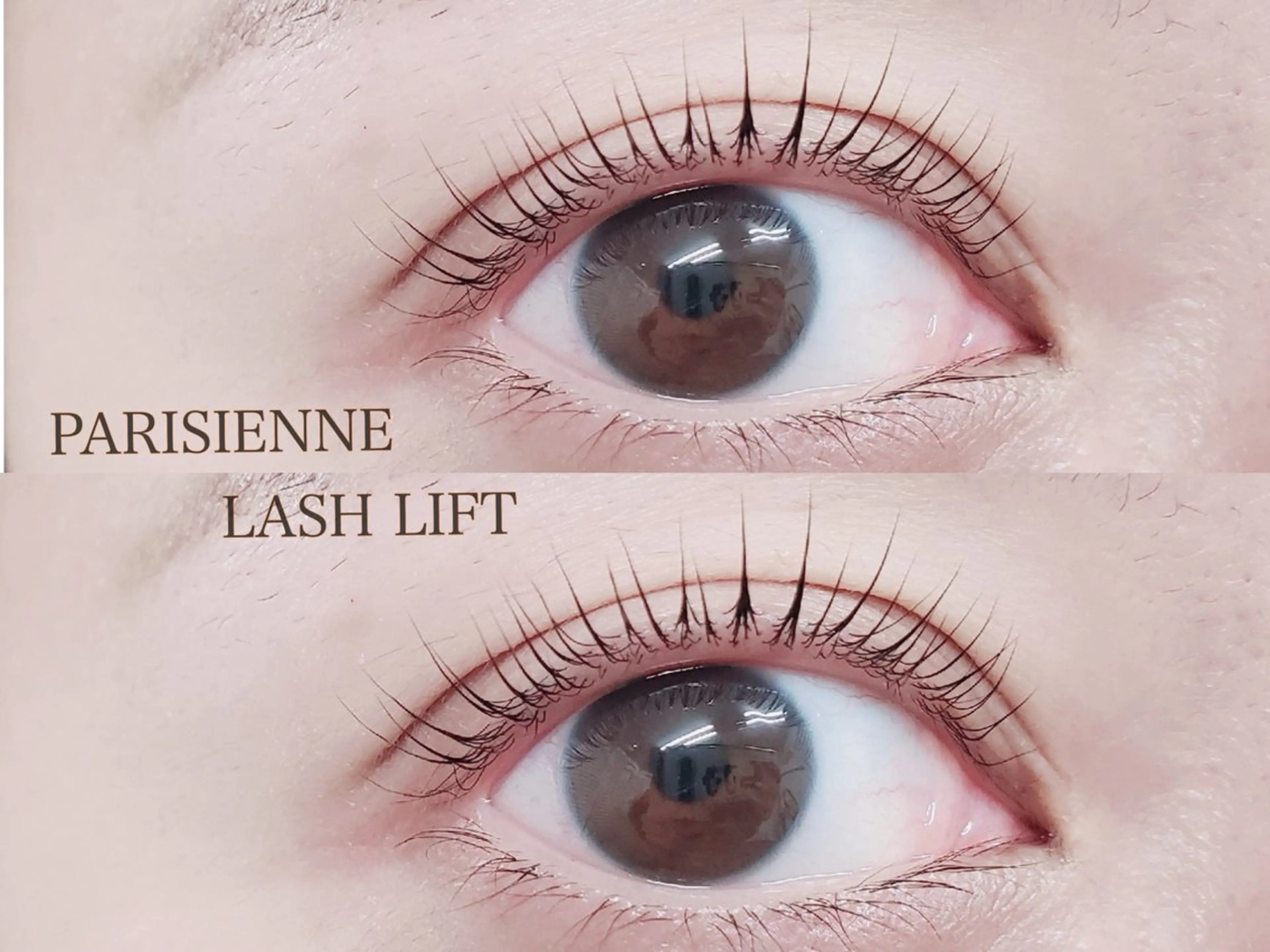 10時予約限定⭐︎パリジェンヌorラッシュリフト　3480円の写真