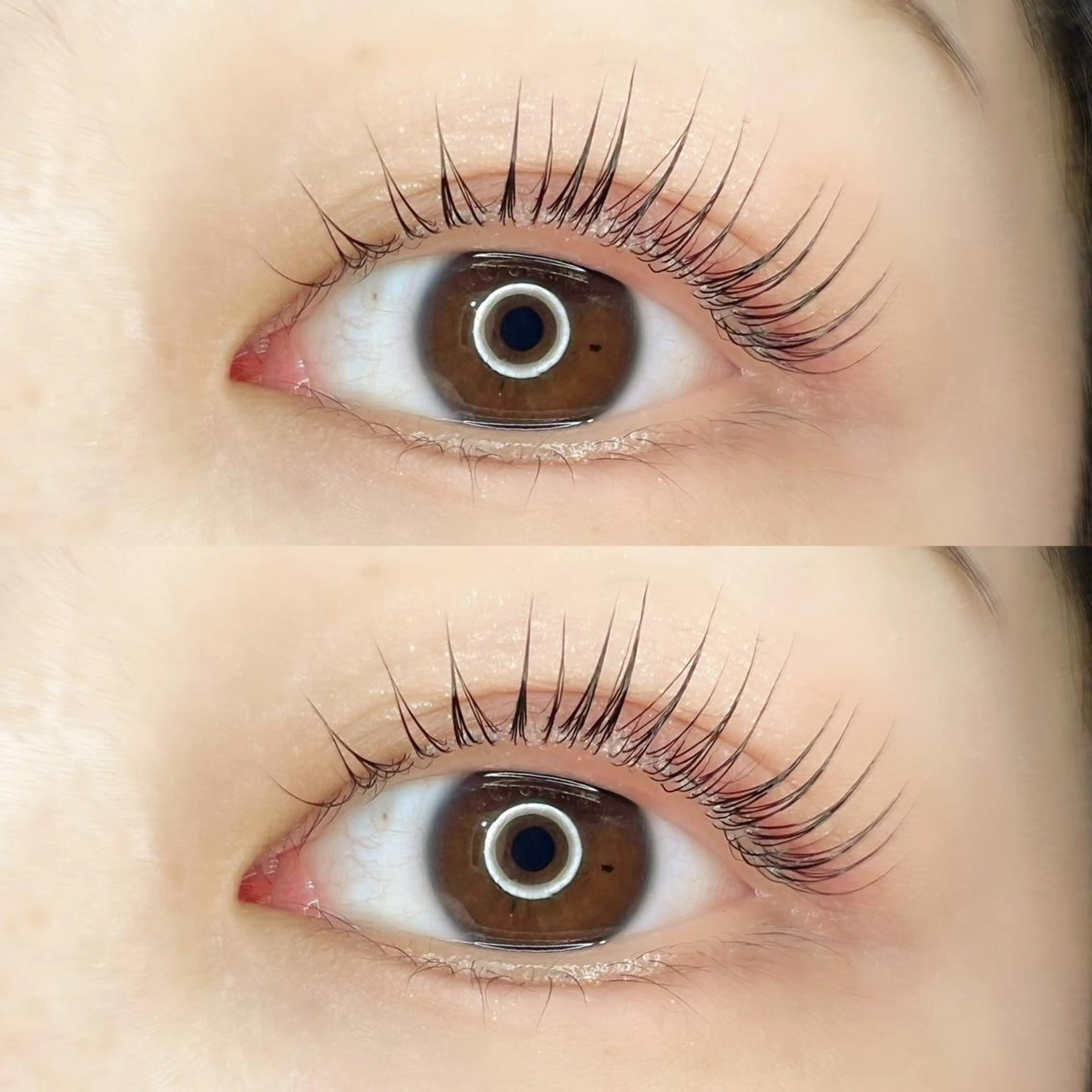 マツエク・マツパ Madonna Lilyのマツエク・マツパデザイン