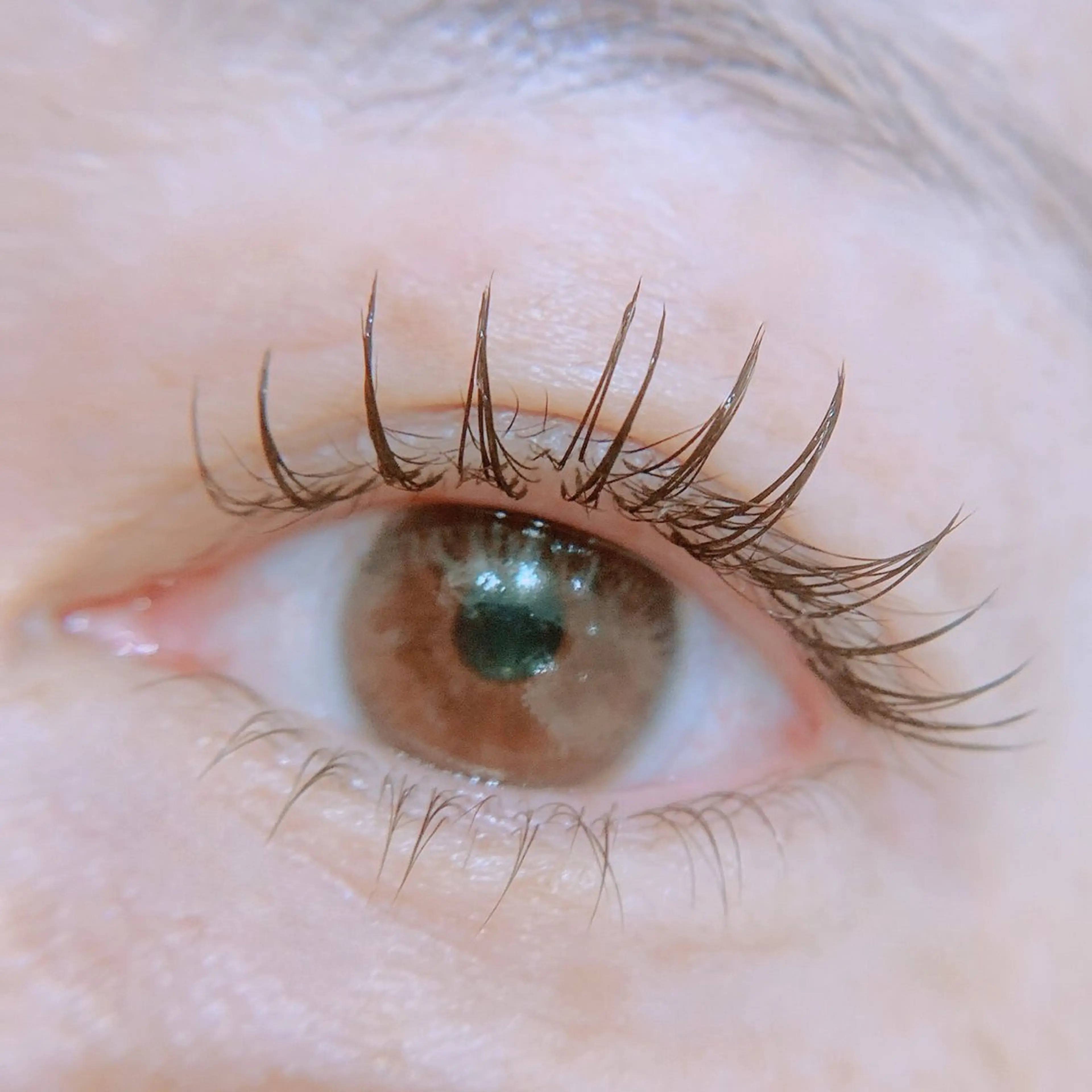 【オフ無料】フラットセーブル　シングル80本❤️の写真