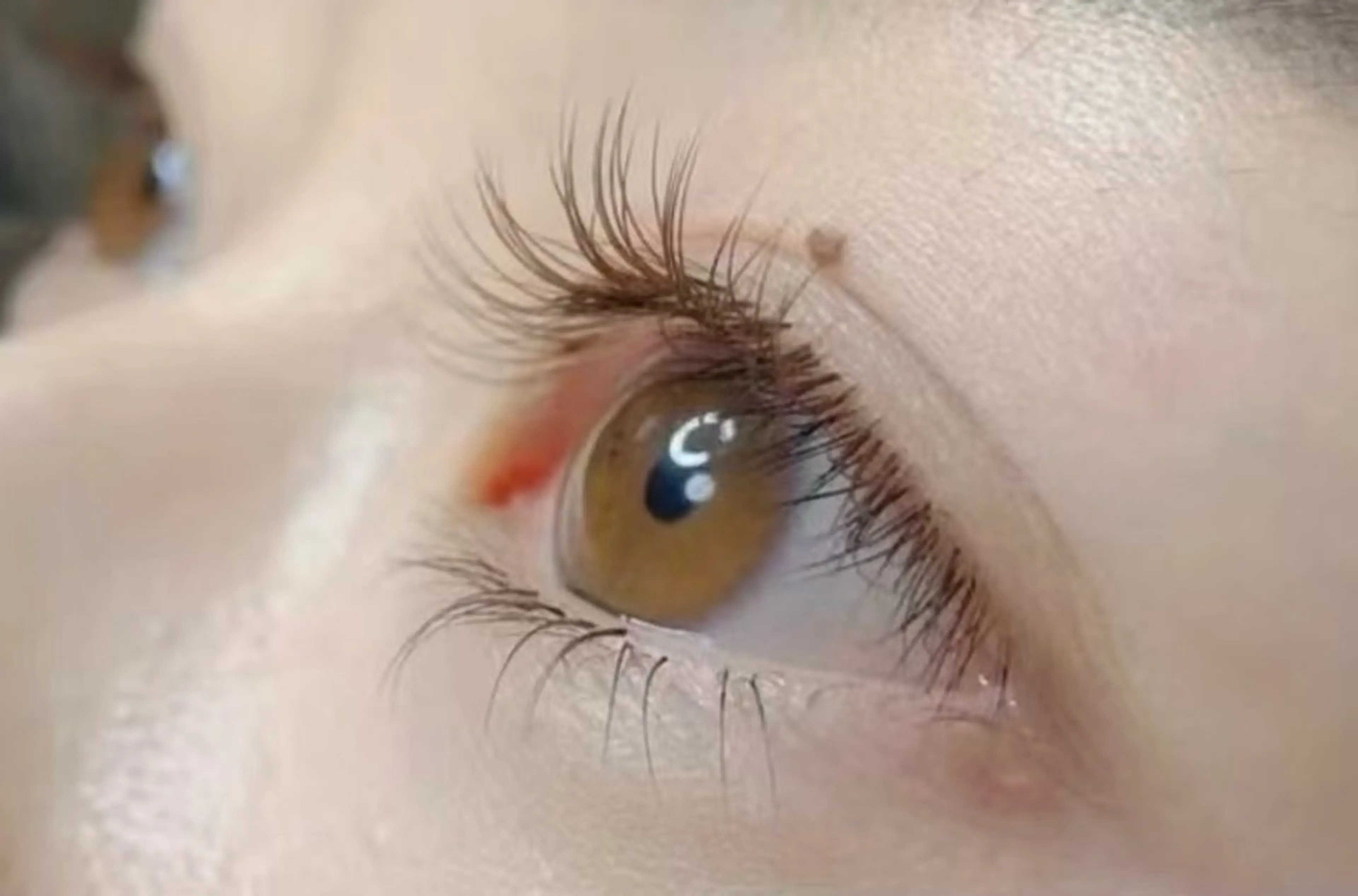 マツエク・マツパ マツエク Max salonのマツエク・マツパデザイン