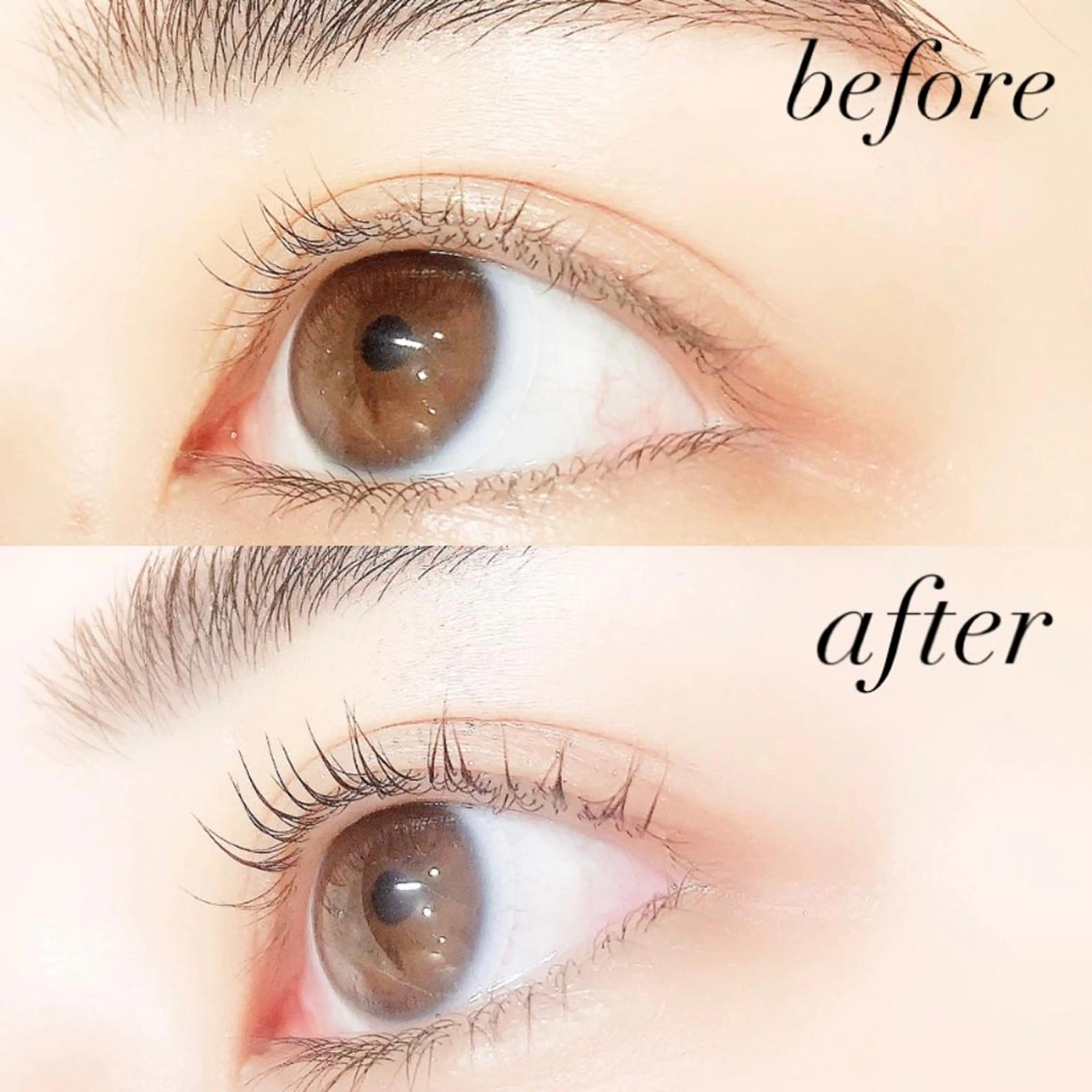 マツエク・マツパ 一重×まつ毛パーマ Lanhr所属・【Lanhr】 🕊aya🕊のマツエク・マツパデザイン