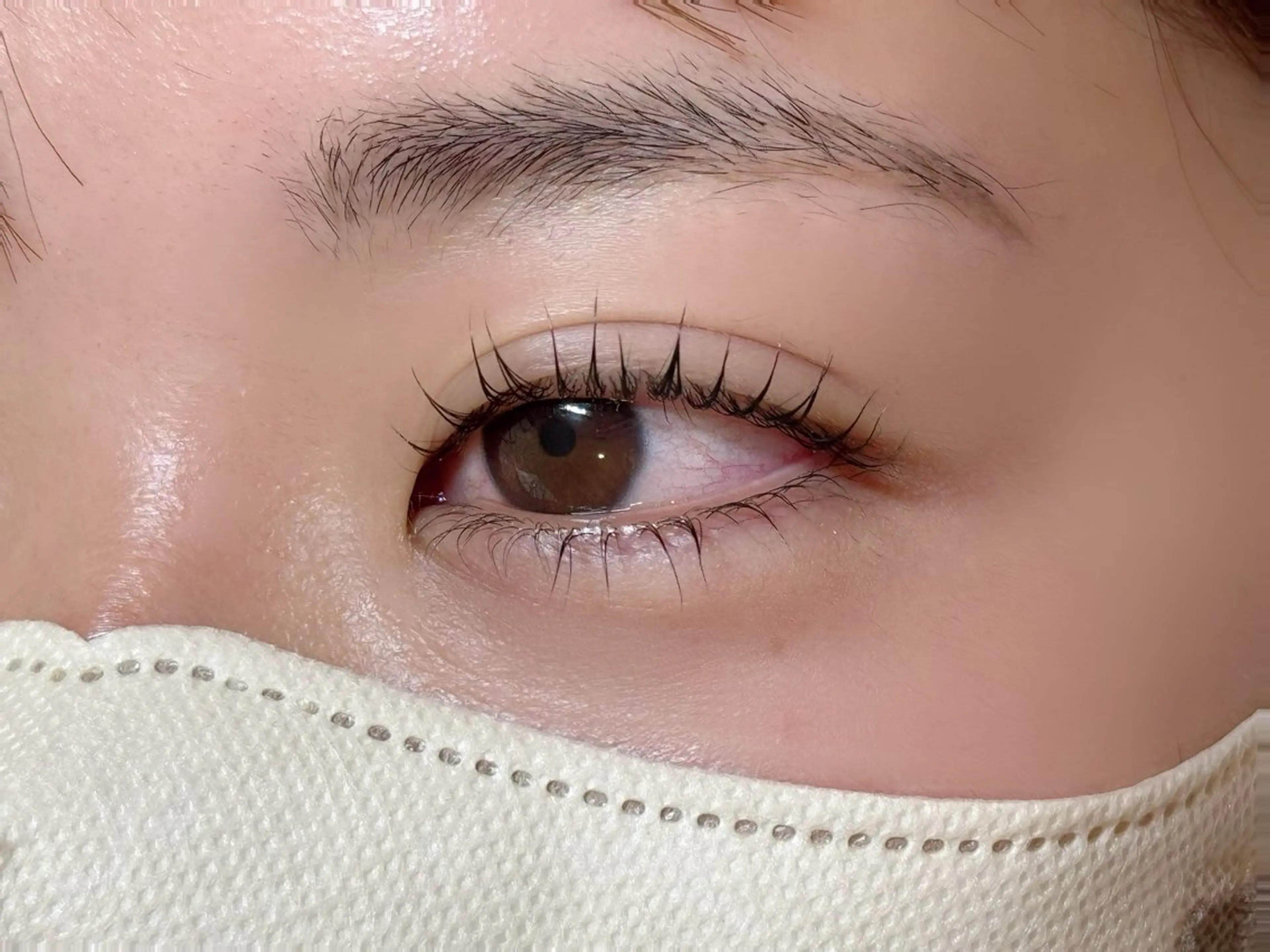 上下まつげパーマの写真