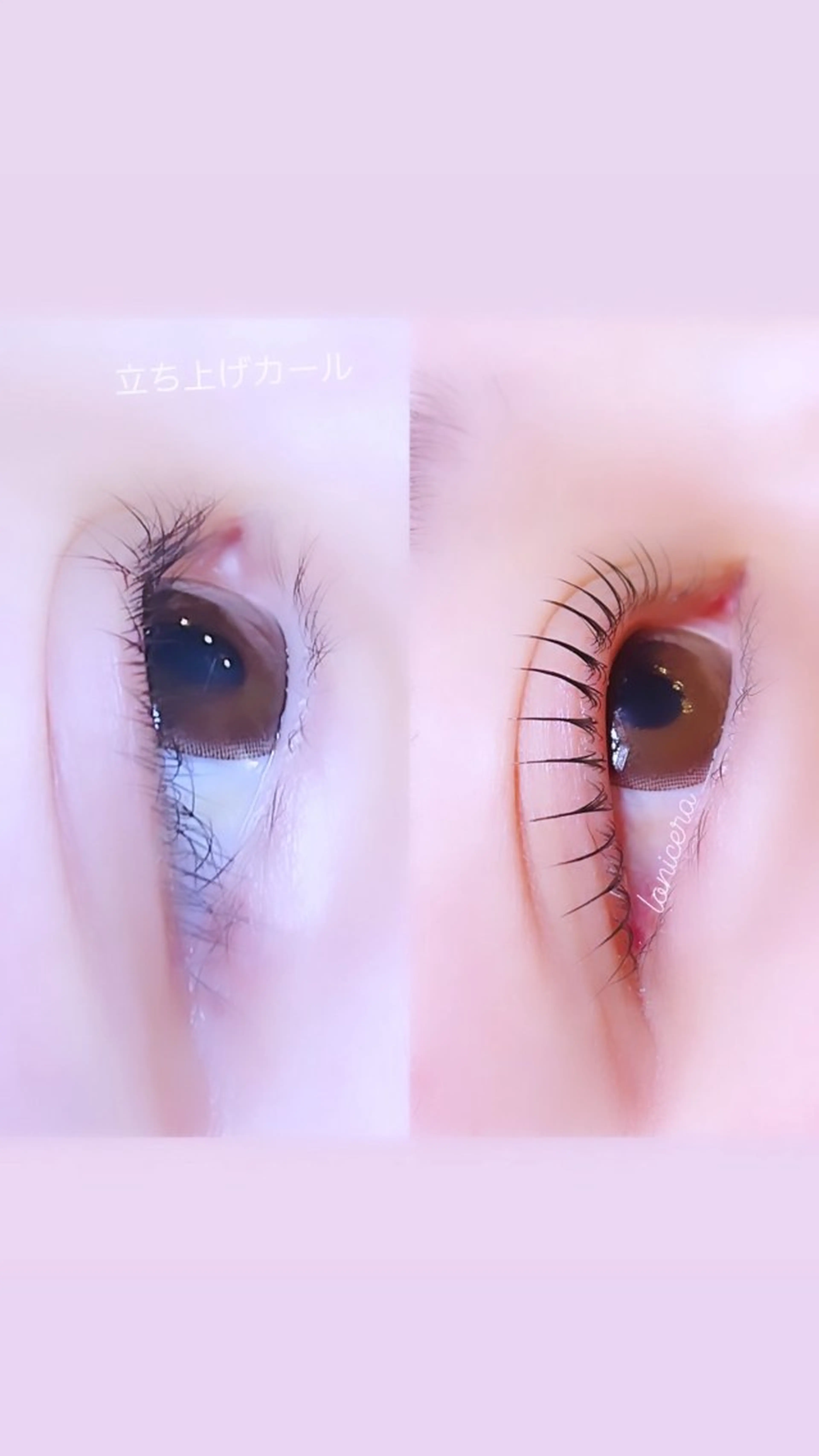 マツエク・マツパ 一重×まつ毛パーマ ロニセラ アイラッシュのマツエク・マツパデザイン