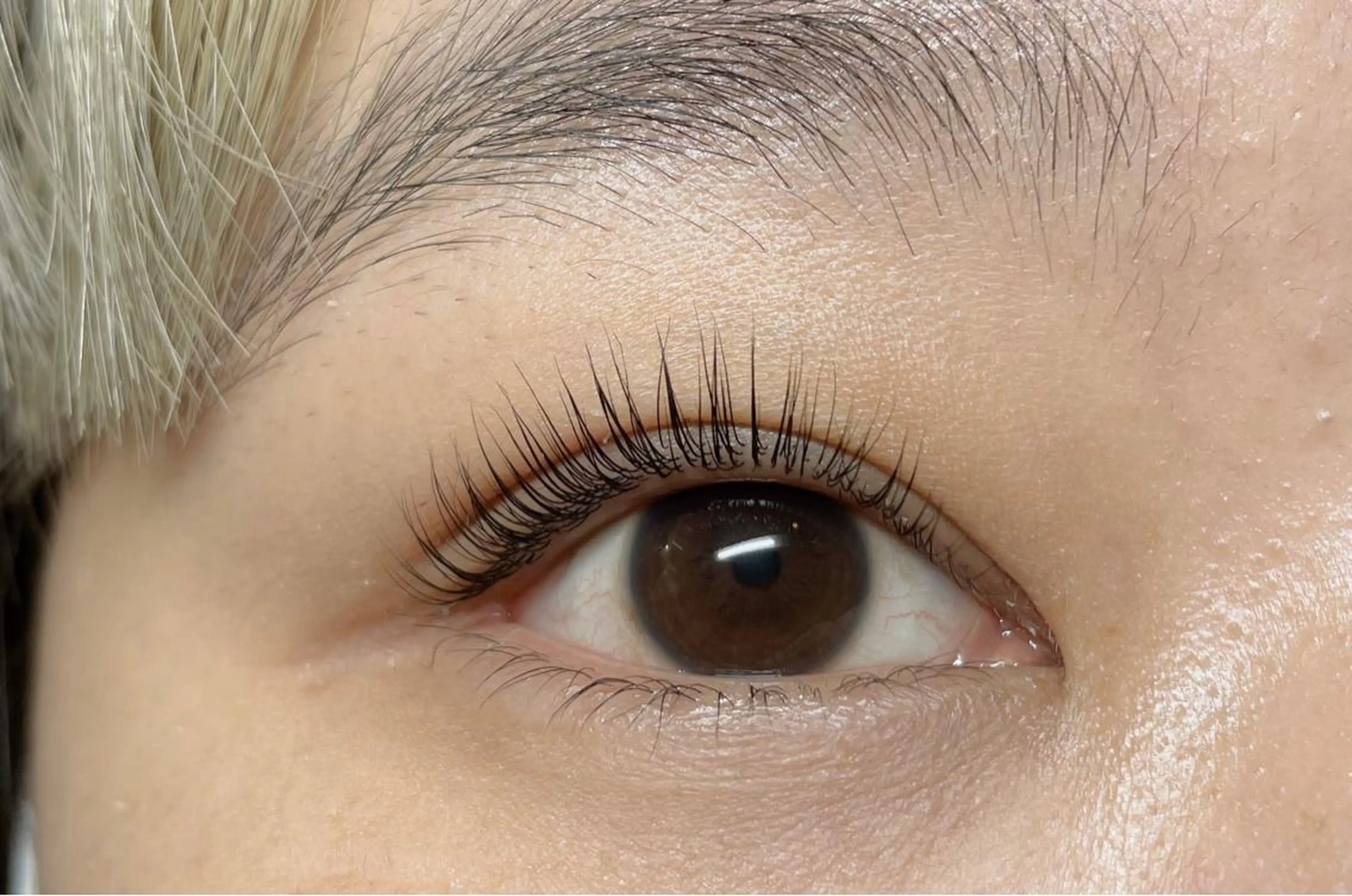 マツエク・マツパ パリジェンヌラッシュリフト マツパ Miura .のマツエク・マツパデザイン