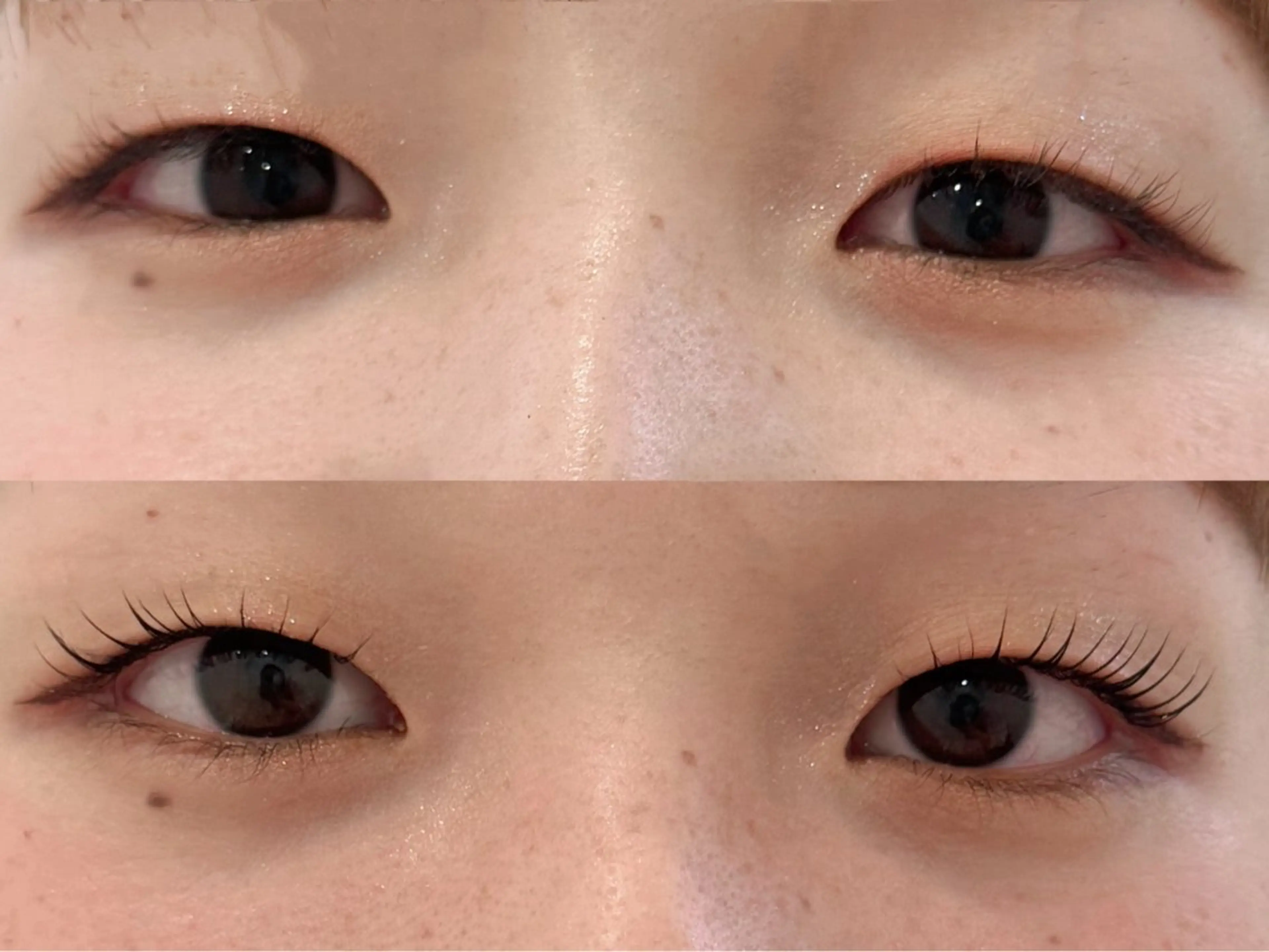 マツエク・マツパ 🧸Lily船橋 石川🌿‬のマツエク・マツパデザイン