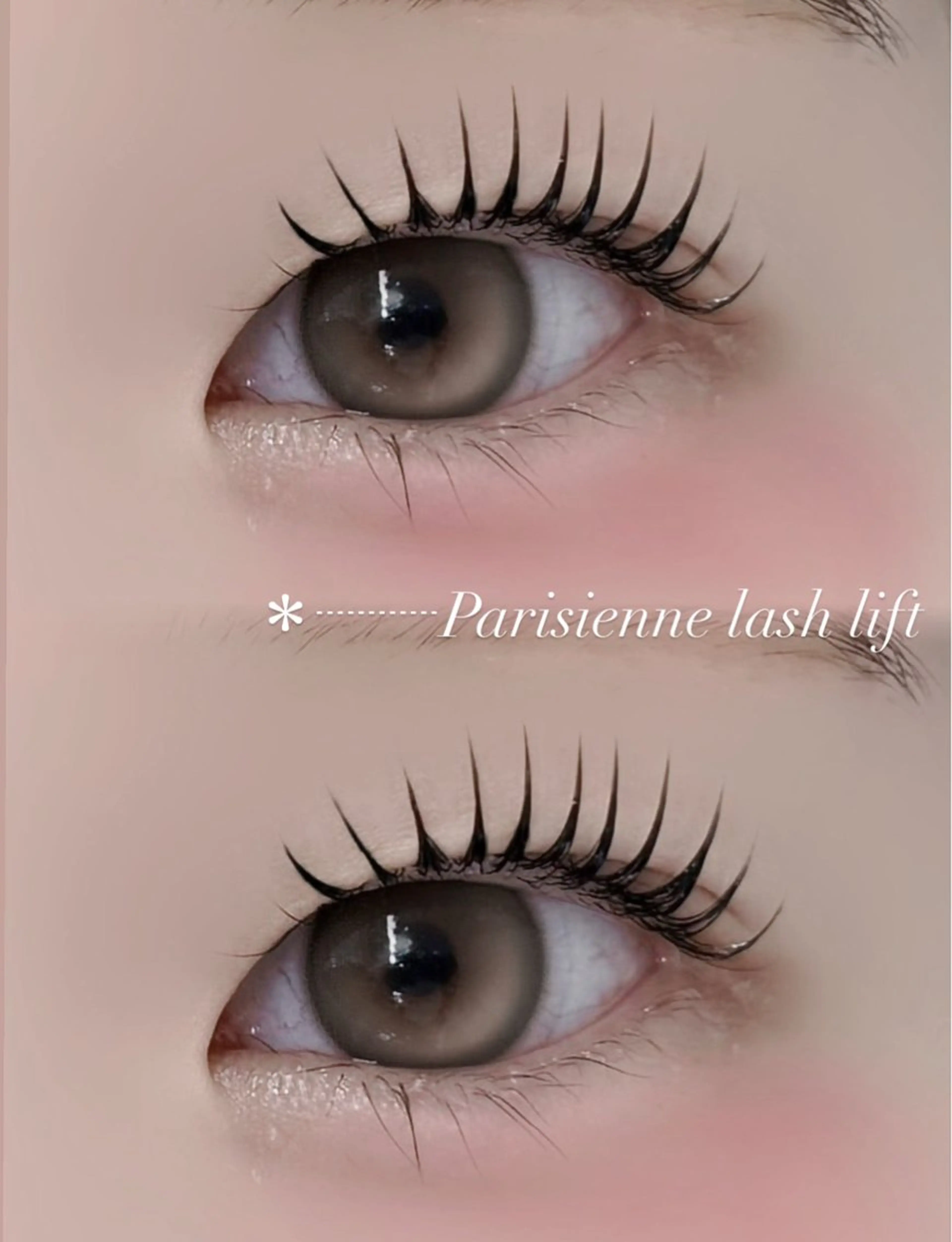 【学割U24限定】平日限定/ラッシュリフト(まつ毛パーマ上)の写真