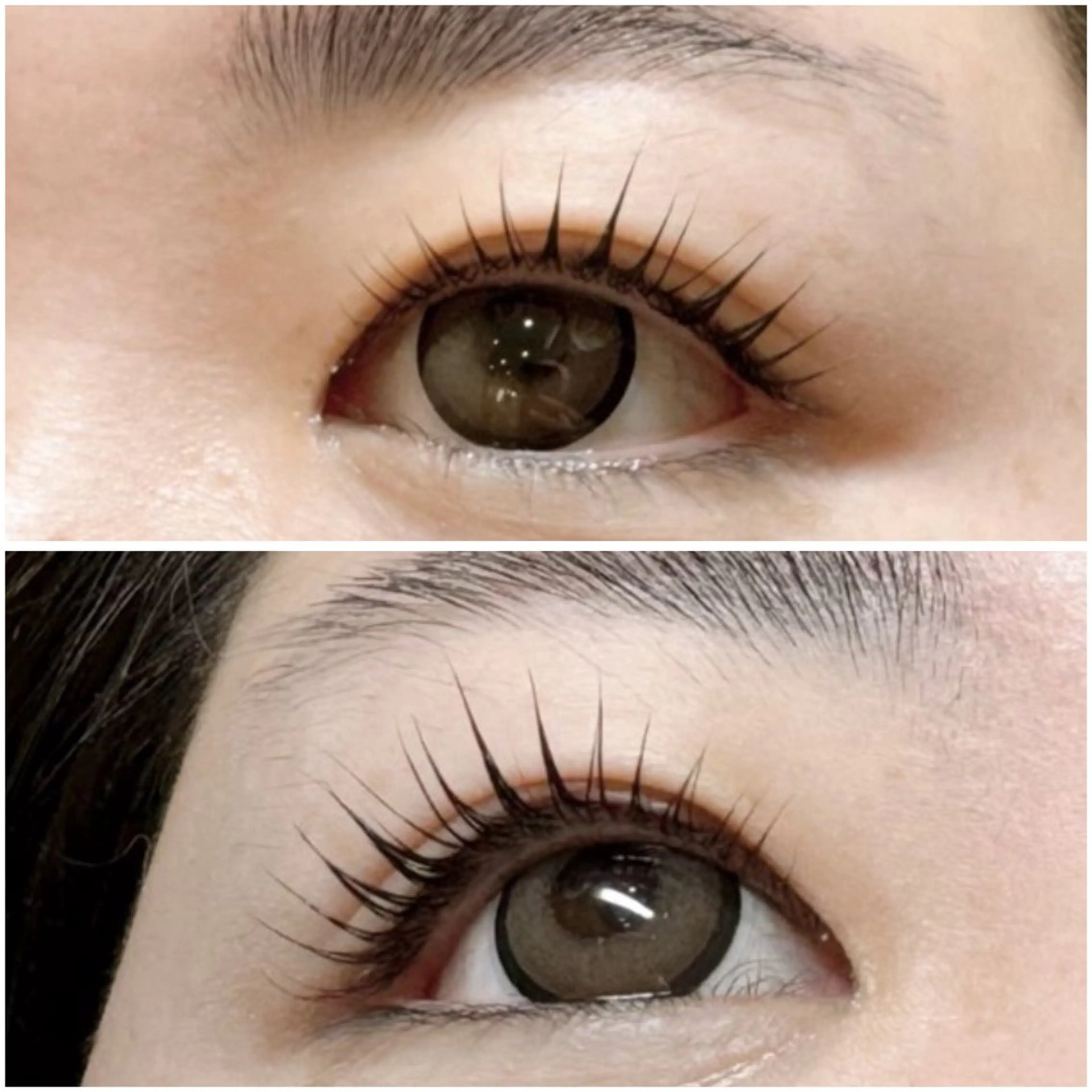 【期間限定✨韓ドル風まつ毛パーマ】束感&カール強め❤︎ 高濃度トリートメント➕コーティング付き🫧5分前来店の写真