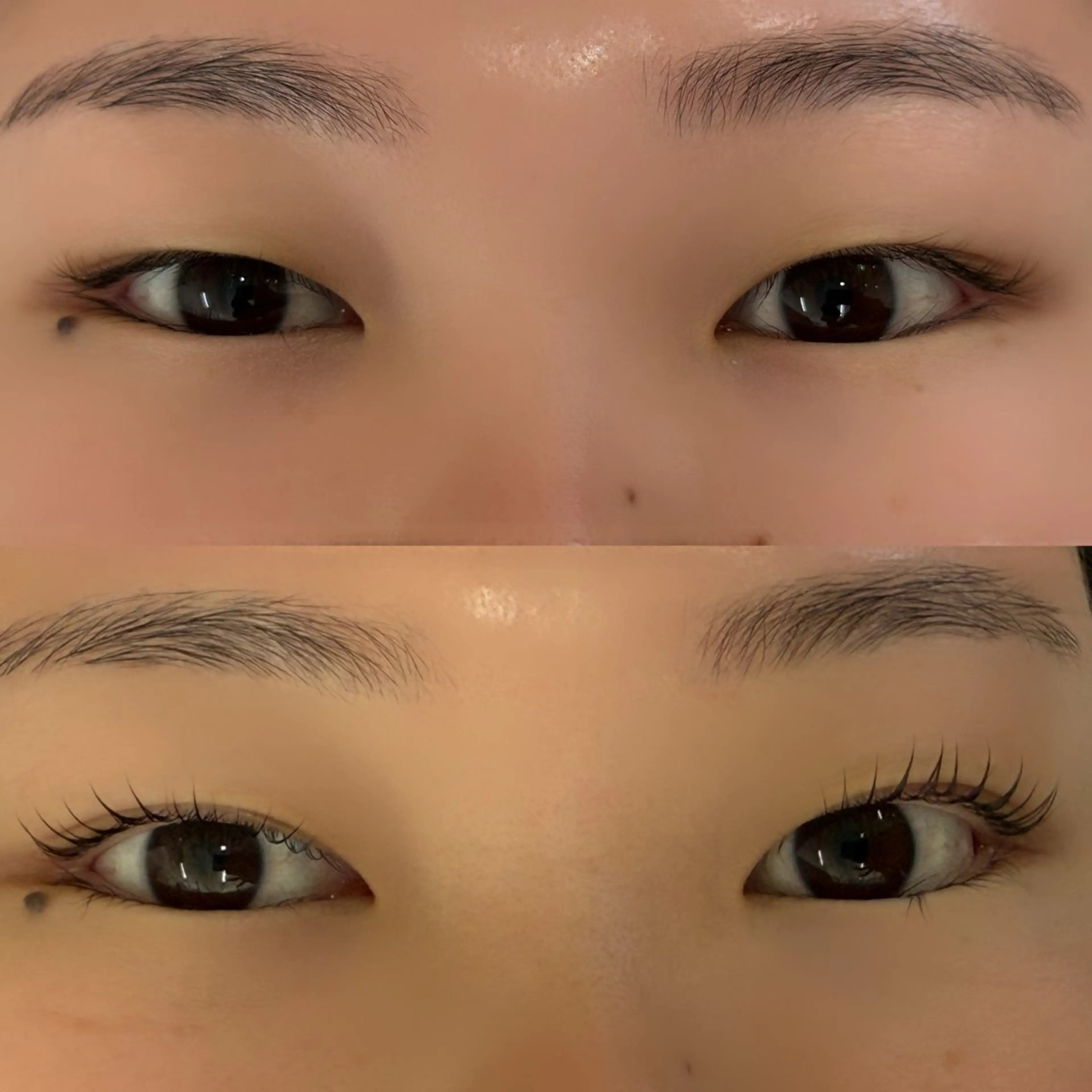 マツエク・マツパ パリジェンヌラッシュリフト マツパ franfika かりごめのマツエク・マツパデザイン