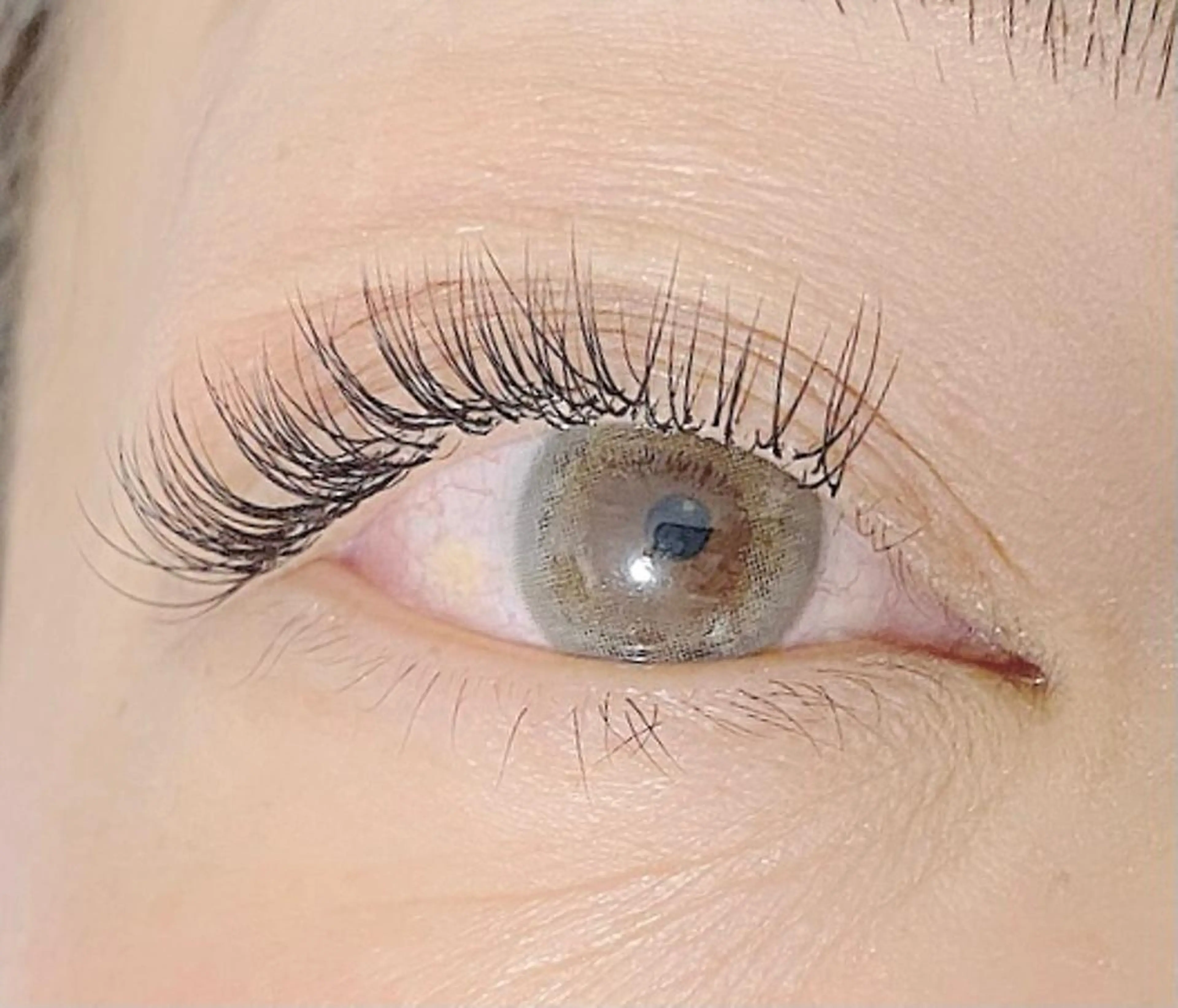 マツエク・マツパ パリジェンヌラッシュリフト Anela Beauty Salon所属・Anela 博多/春吉のマツエク・マツパデザイン