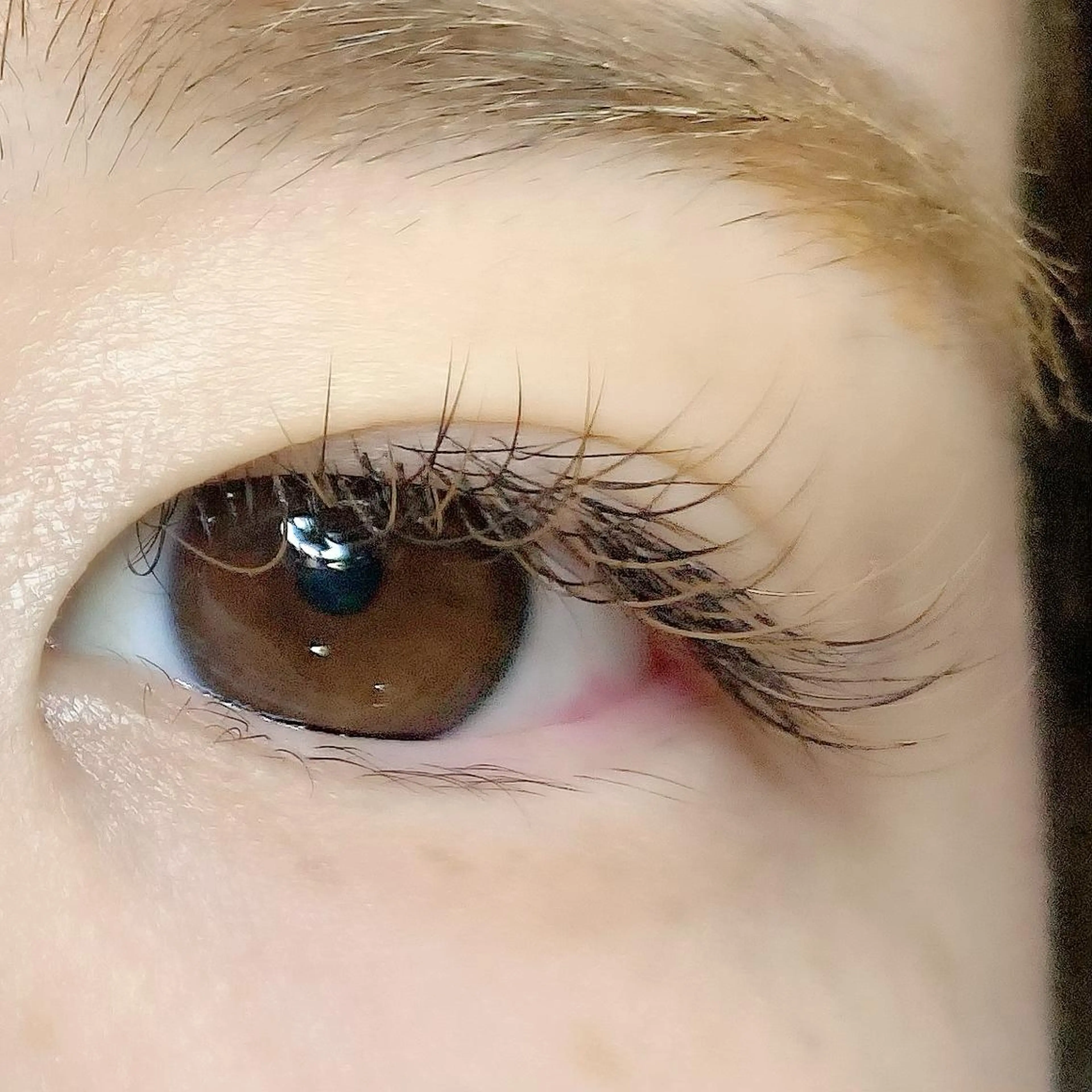 マツエク・マツパ Cカール カラーマツエク ナオエ ハルカのマツエク・マツパデザイン