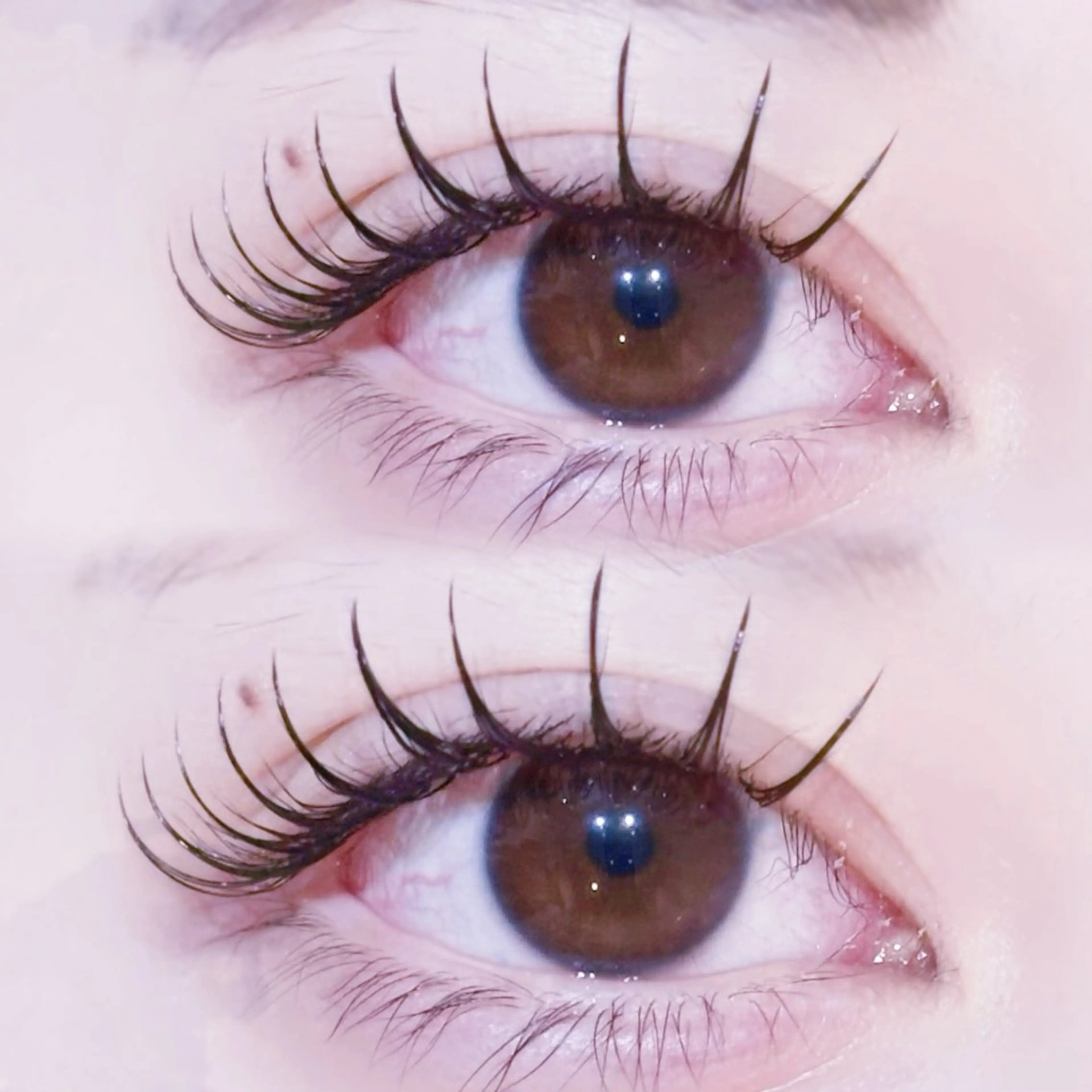 マツエク・マツパ EYELA🤍 蓜島のマツエク・マツパデザイン