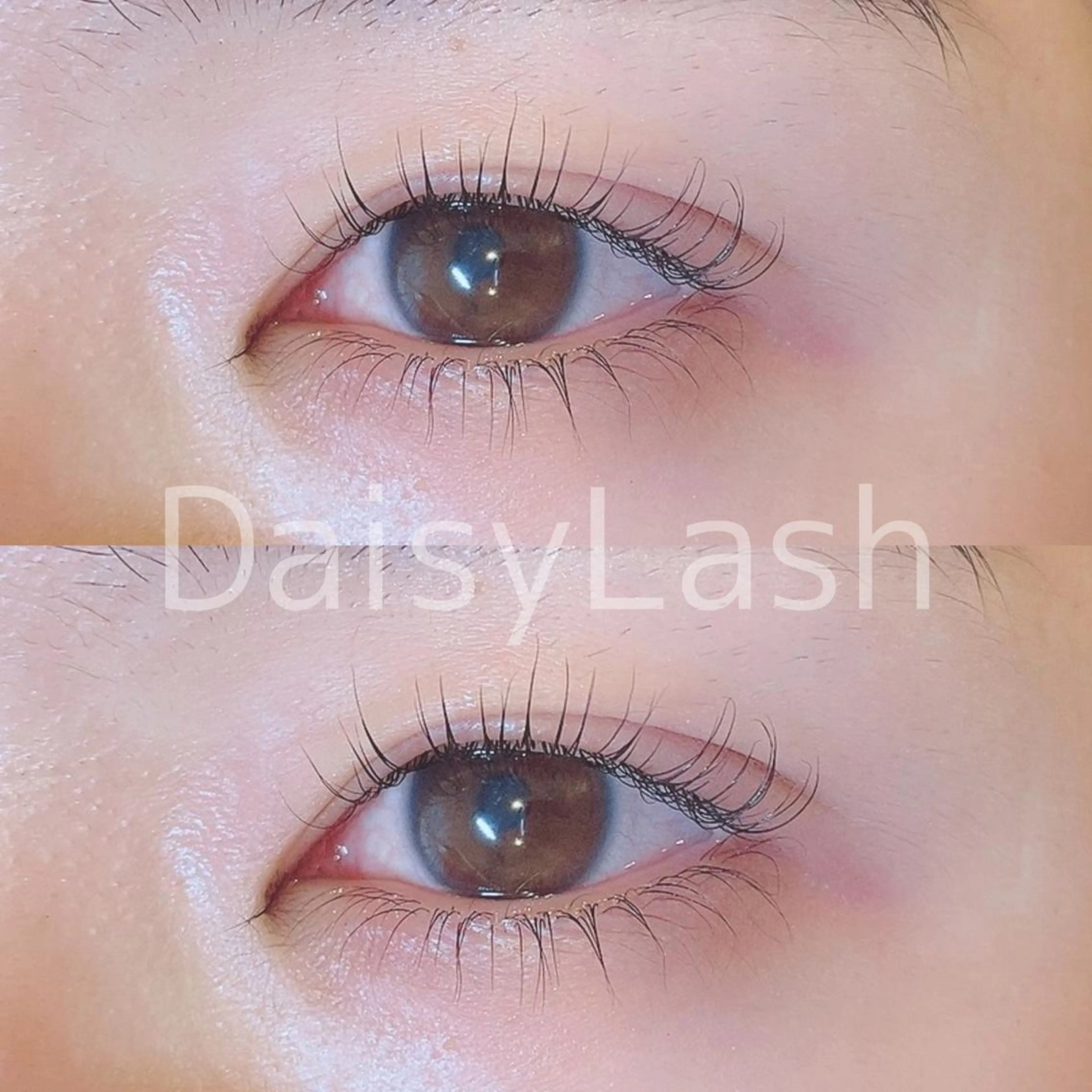 マツエク・マツパ DaisyLash 京橋店のマツエク・マツパデザイン