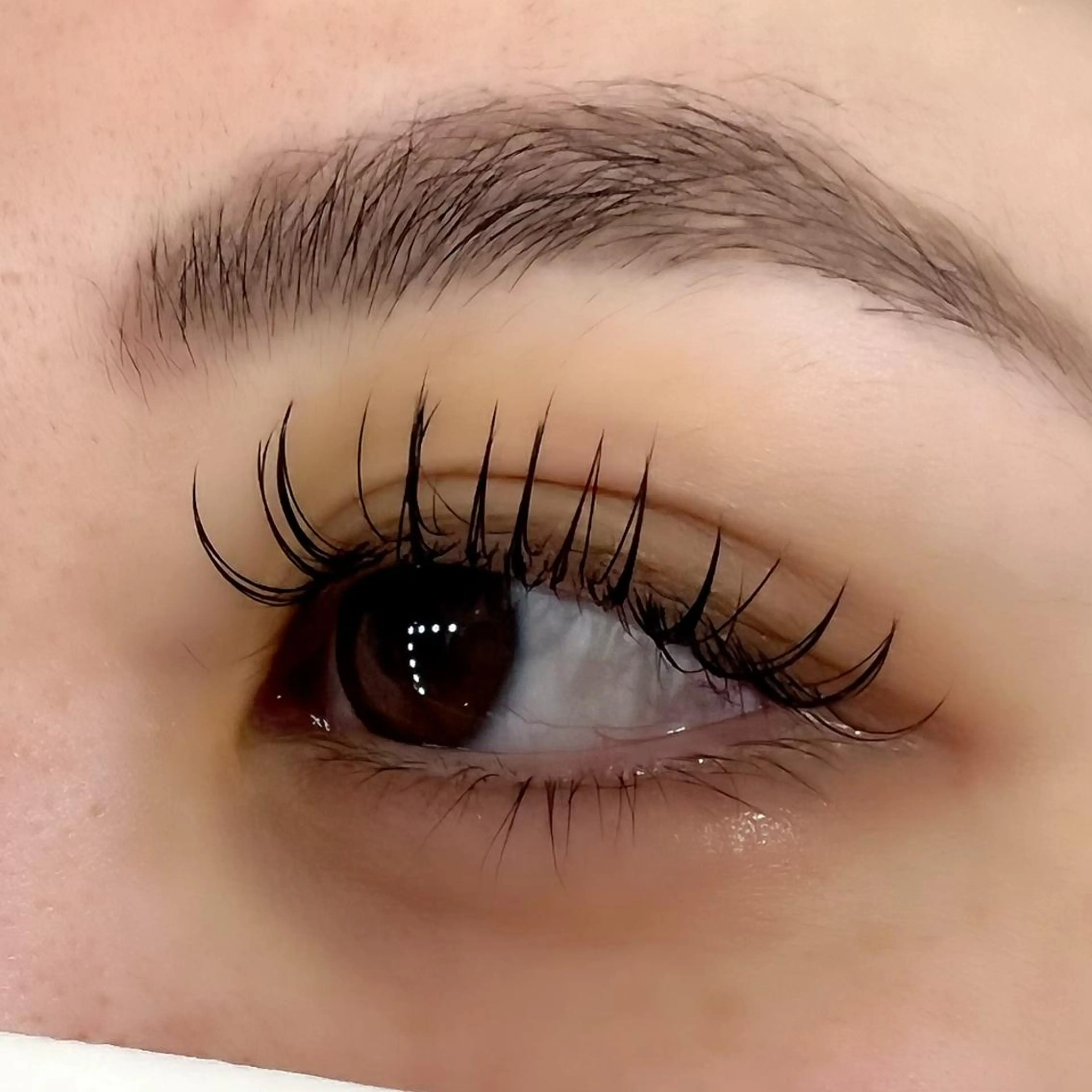 マツエク・マツパ マツエク Celeste Venus所属・🧸Celeste Venusのマツエク・マツパデザイン