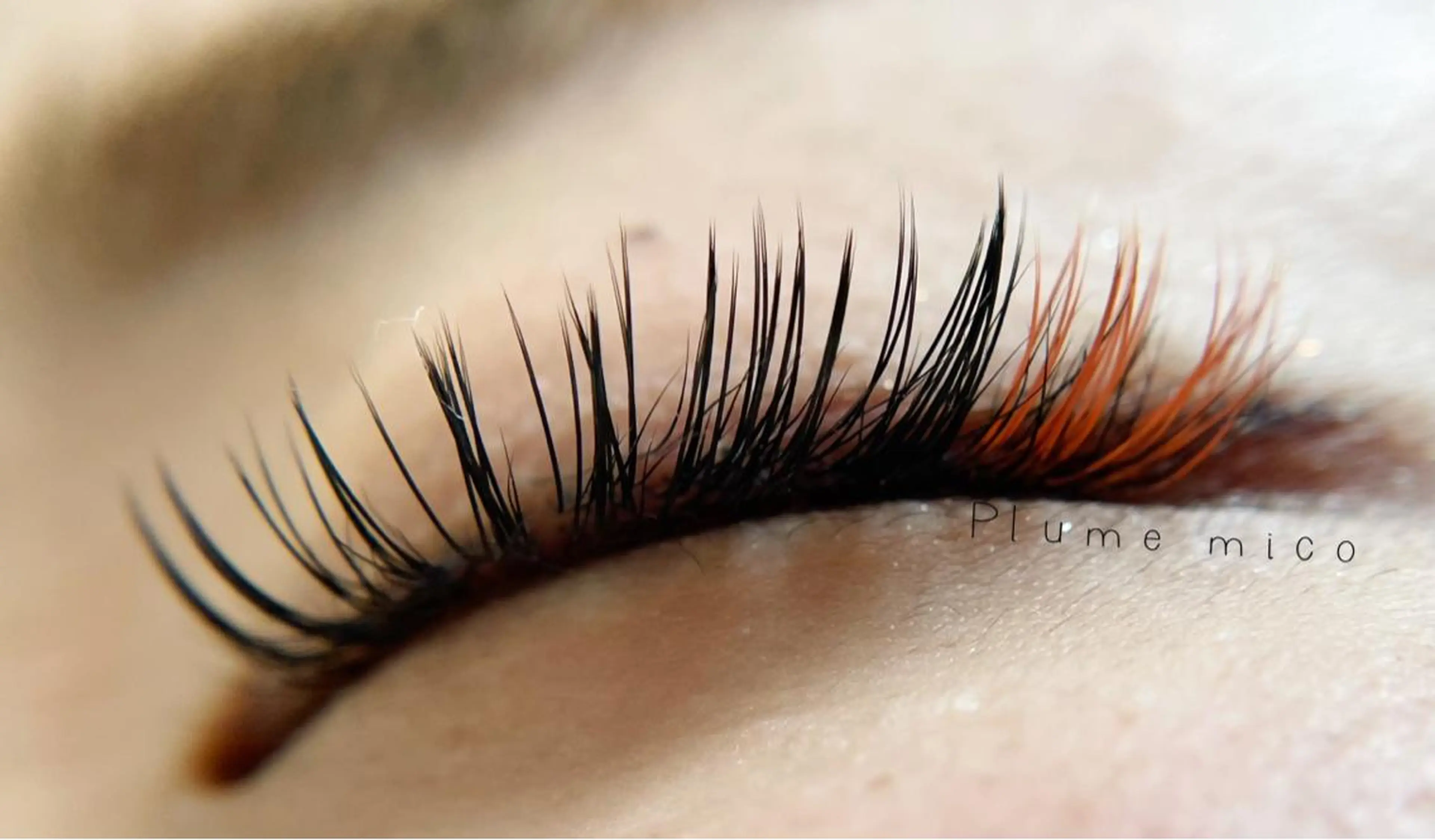 マツエク・マツパ マツエク Plume micoのマツエク・マツパデザイン