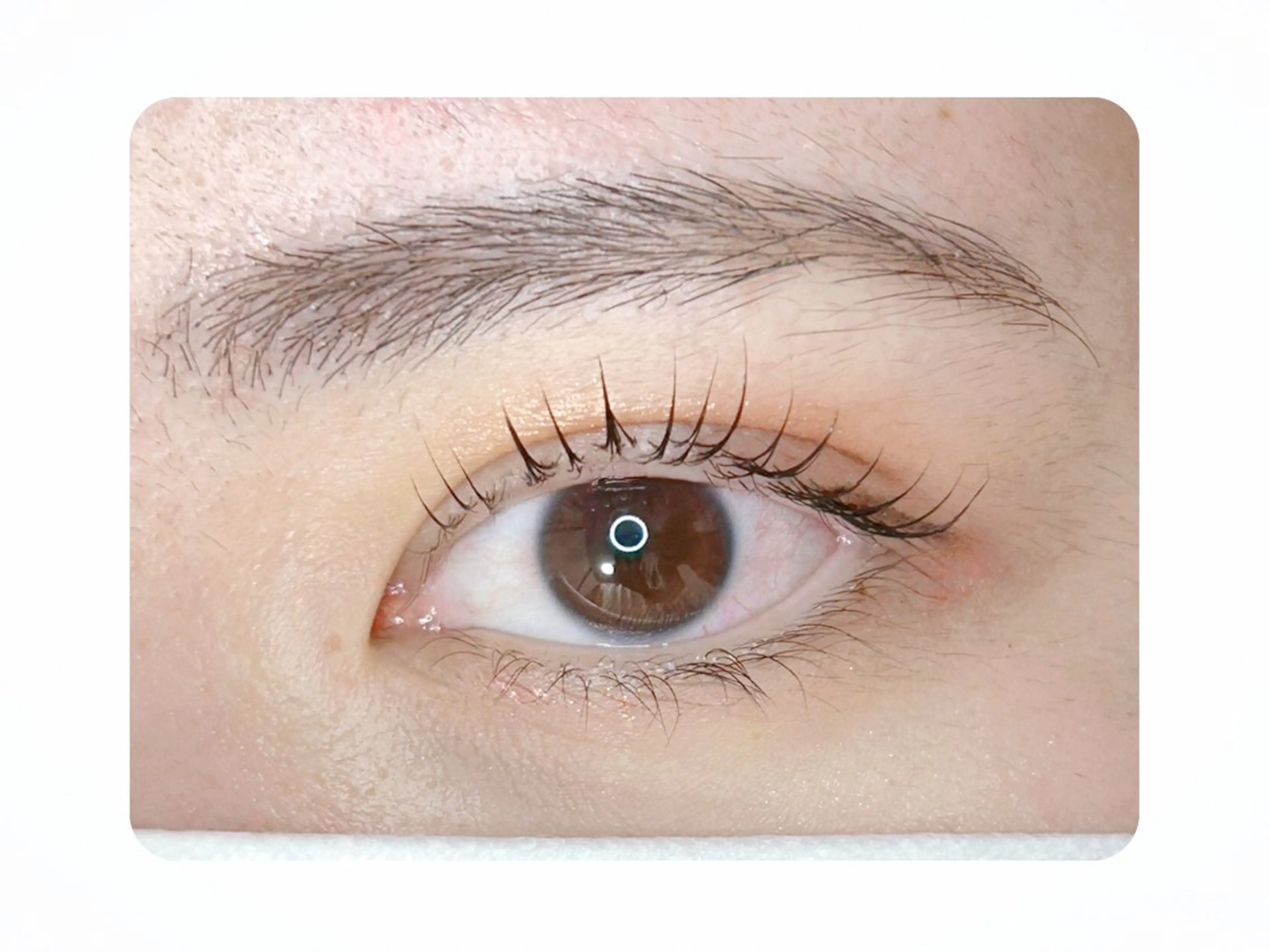 マツエク・マツパ マツパ Gluttony/ ｸﾞﾗﾄﾆｰ＊ユキのマツエク・マツパデザイン