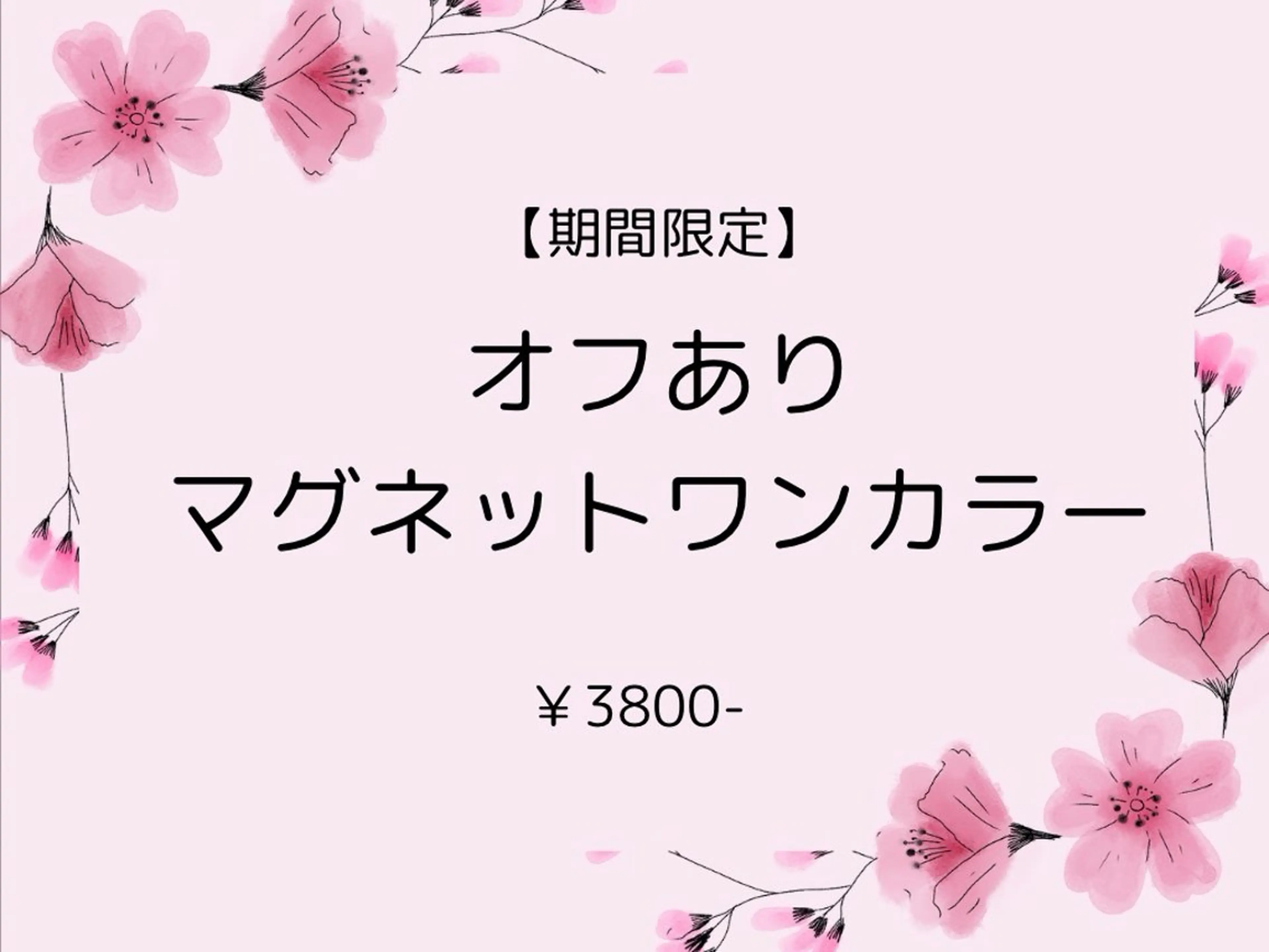 【期間限定】オフあり　マグネットワンカラー　¥3800の写真