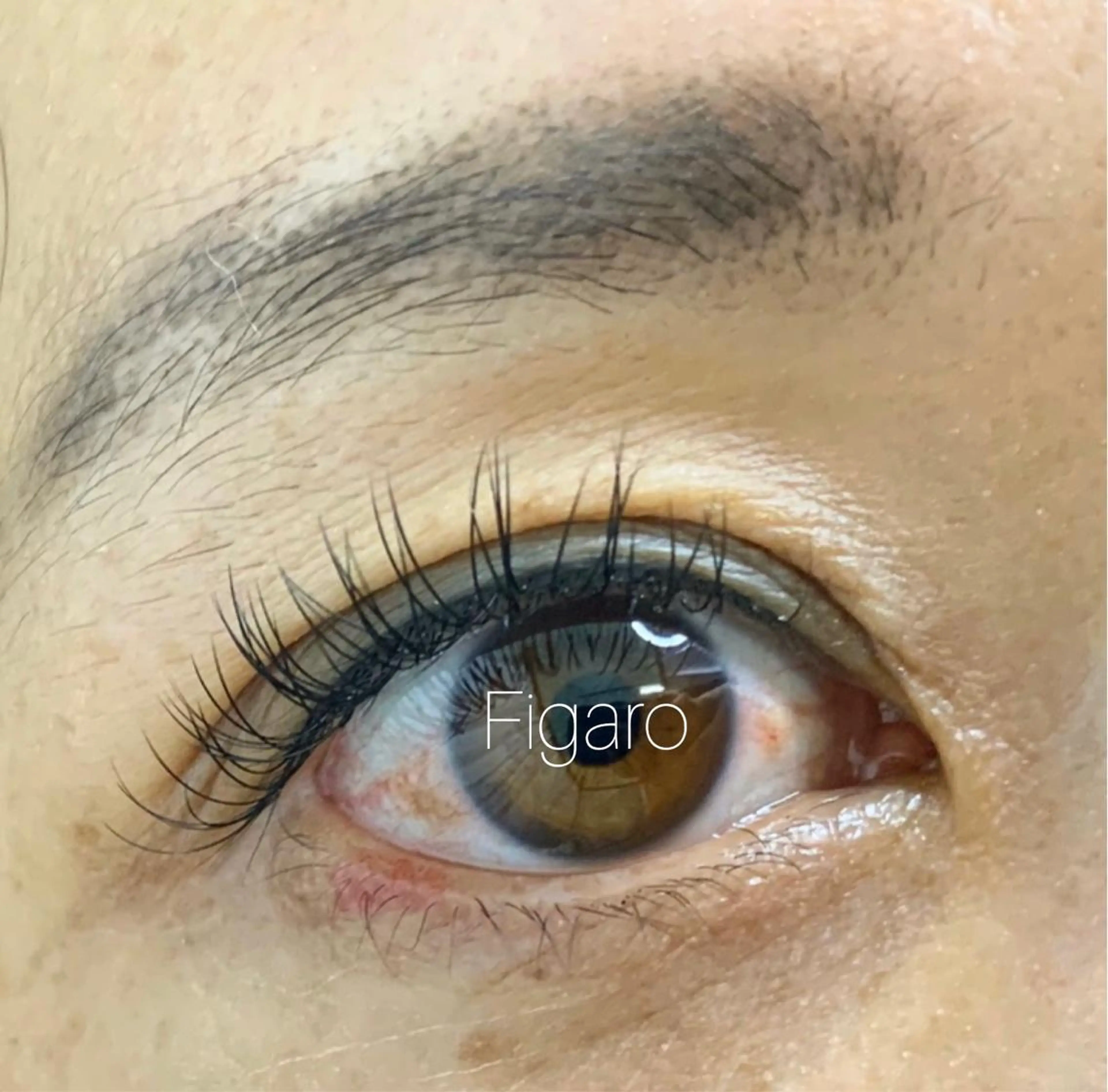 マツエク・マツパ Cカール キュート フラットラッシュ Fumina .のネイルデザイン