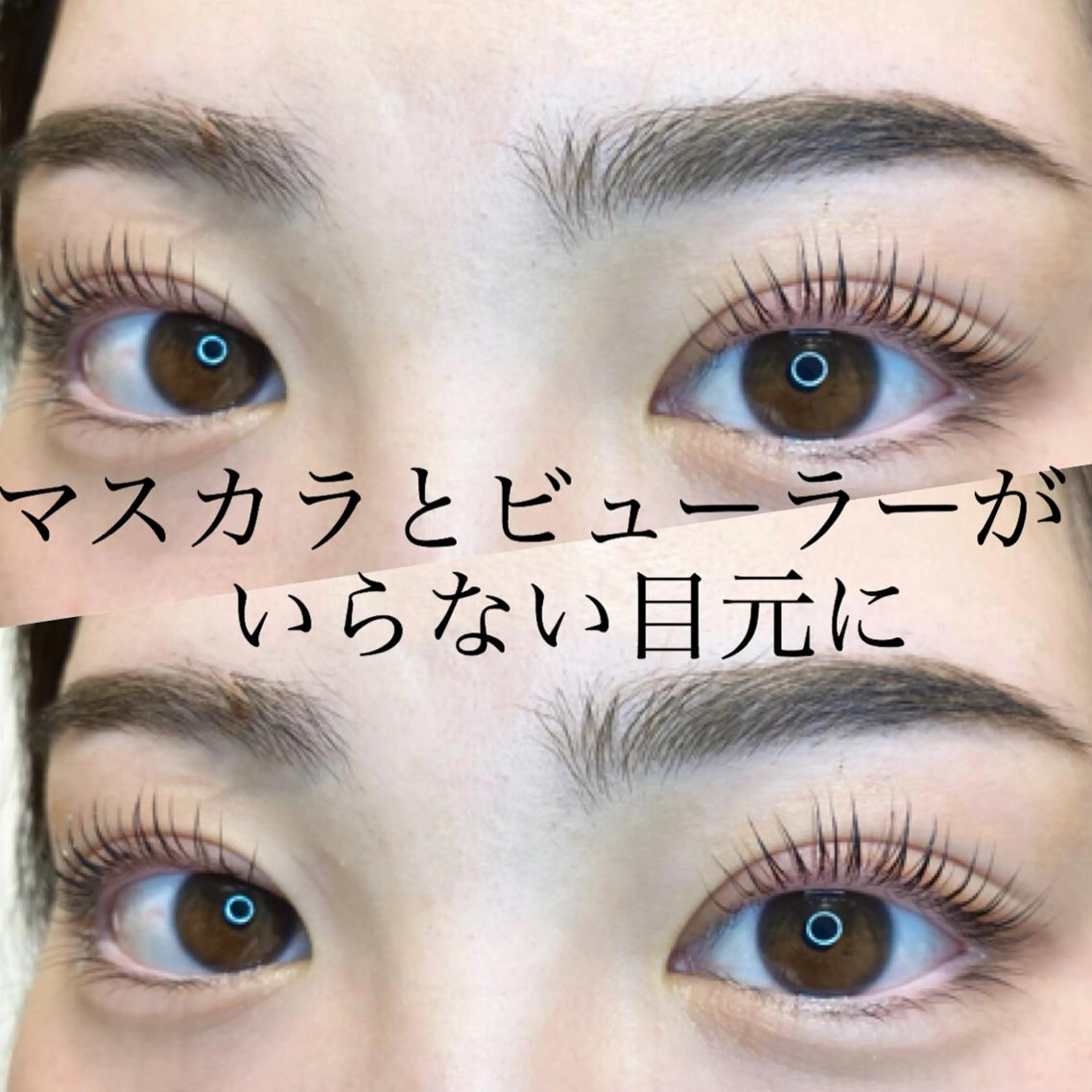 ミニモ限定🤎パリジェンヌラッシュリフト＋ラッシュアディクトサロンケアの写真